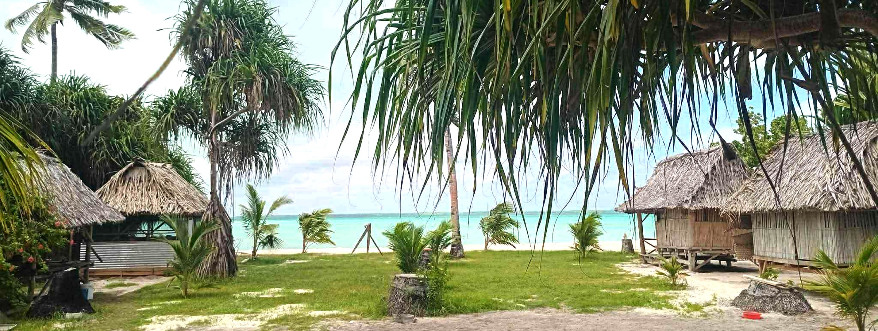 woman holding a phone and man looking at the phone. both are smiling