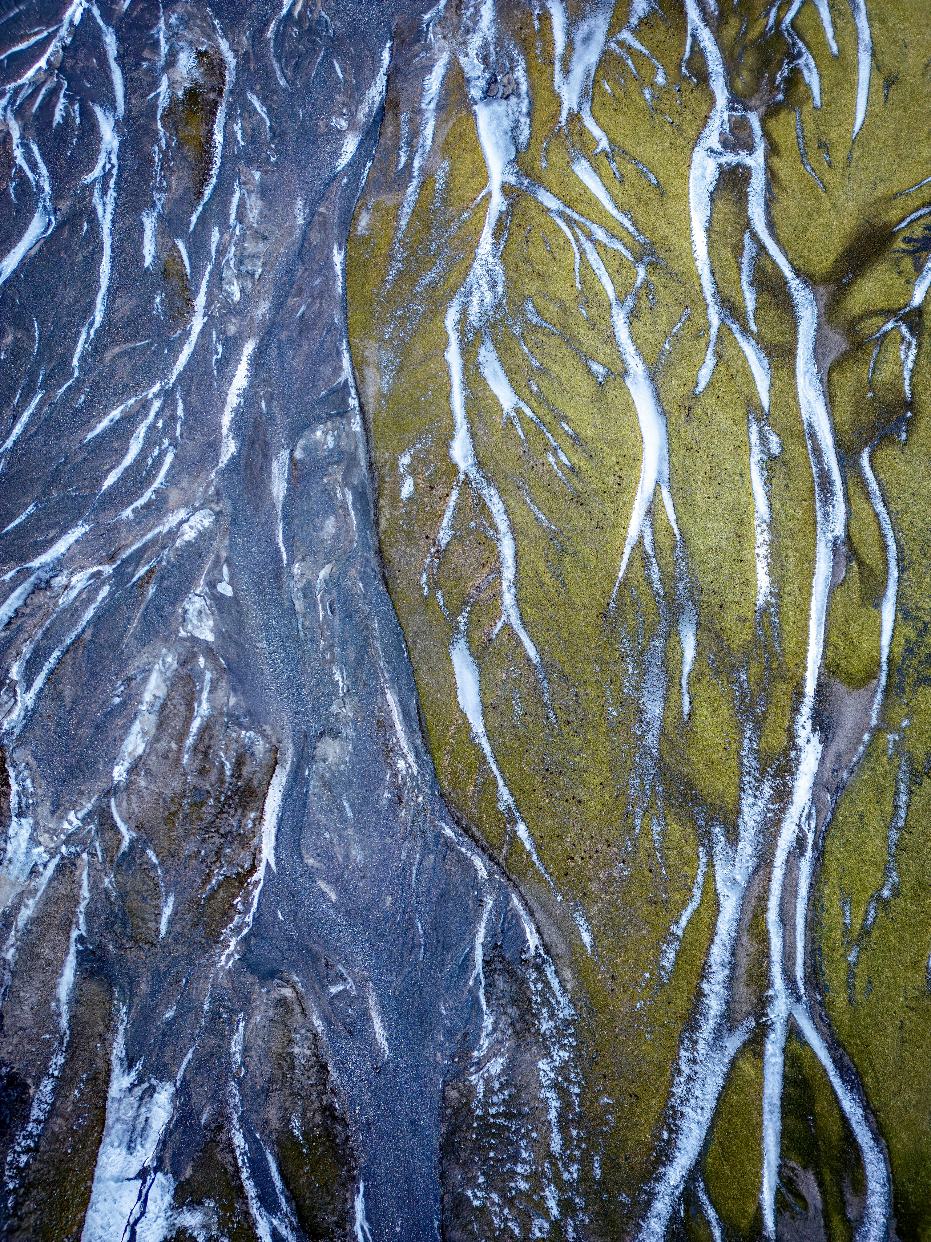 Aerial view of braided river delta with green moss