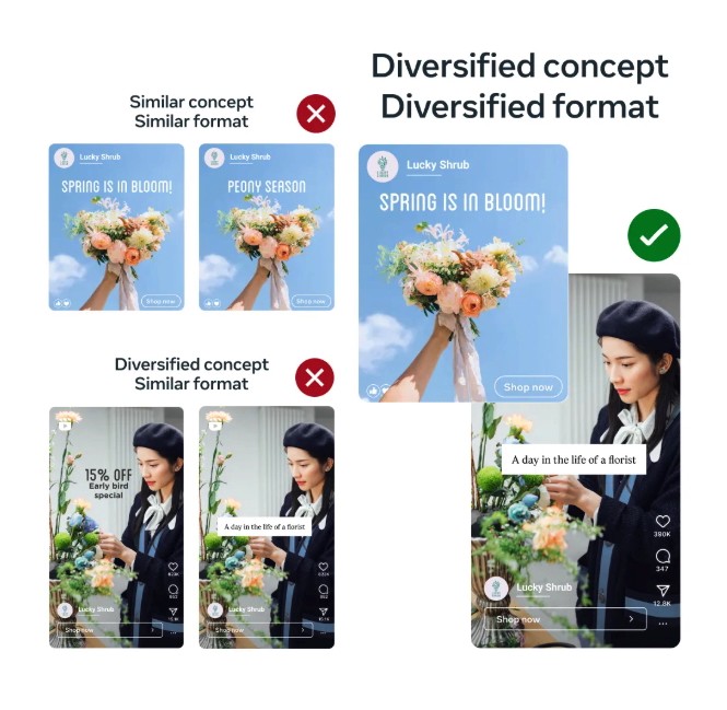 Diversified concept and format