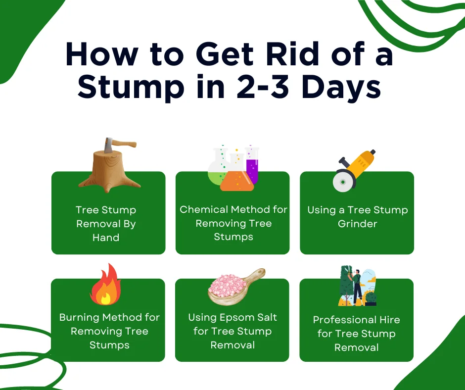 An infographic on how to get rid of a stump in 2 - 3 days
