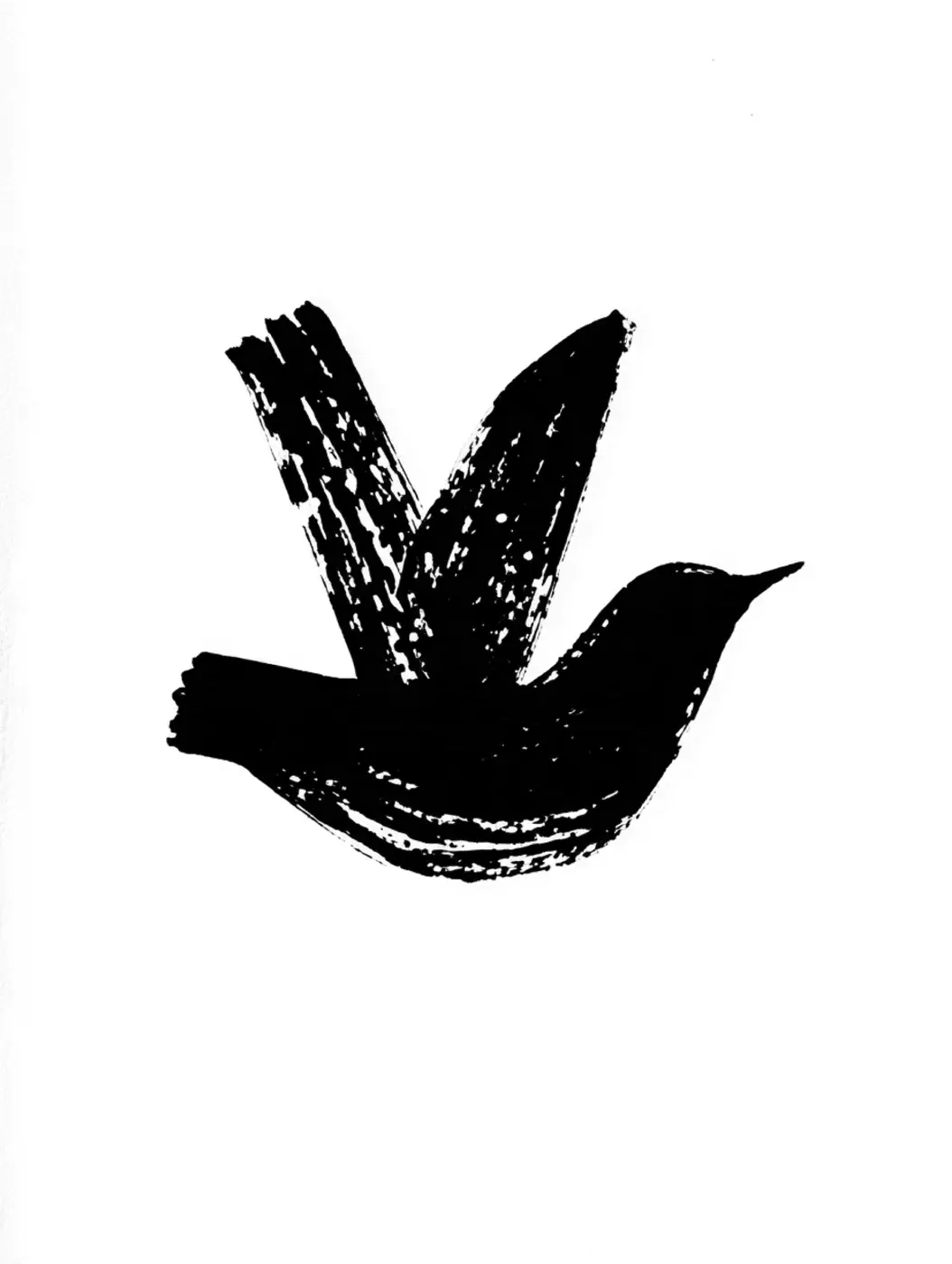 Black dove illustration