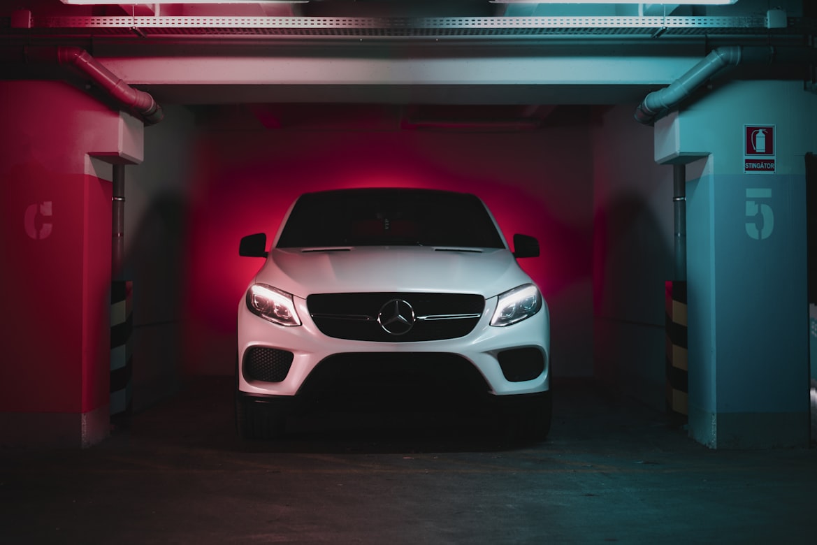 https://images.unsplash.com/photo-1590362891991-f776e747a588?q=80&w=1169&auto=format&fit=crop&ixlib=rb-4.0.3&ixid=M3wxMjA3fDB8MHxwaG90by1wYWdlfHx8fGVufDB8fHx8fA%3D%3D
