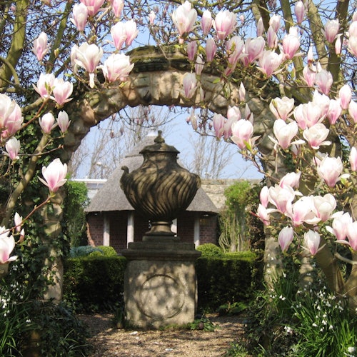 Ein steinerner Torbogen, eingerahmt von blühenden rosa Magnolien, mit einer dekorativen Urne auf einem Sockel in einem Garten.