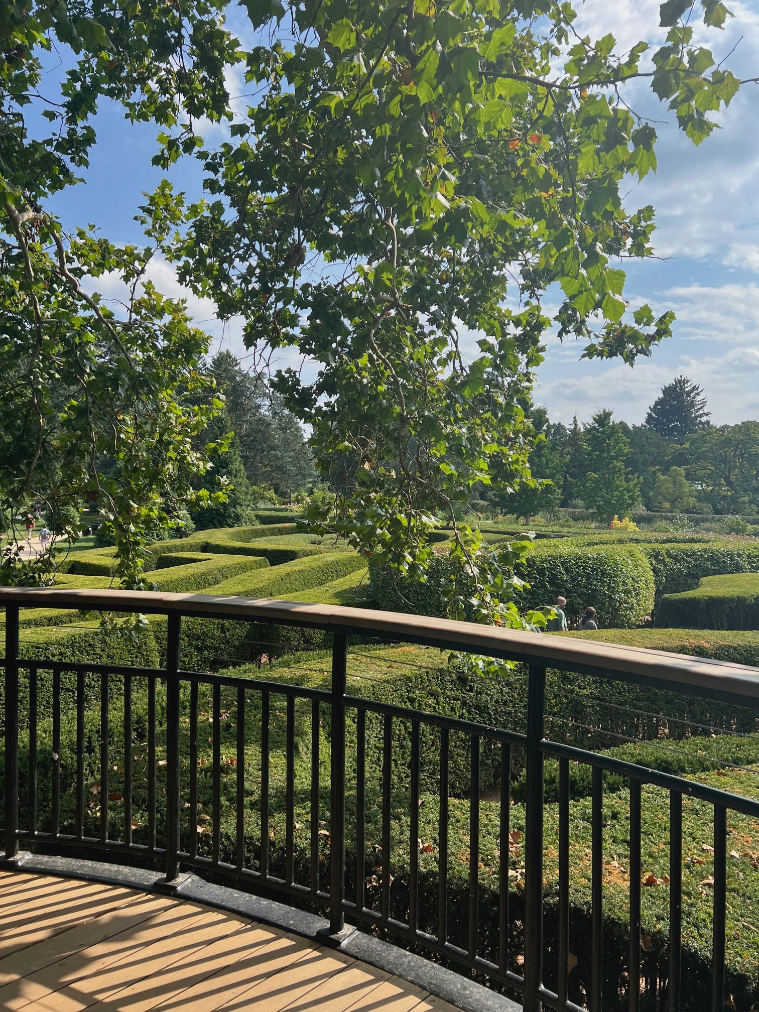 A contemplative view of a garden