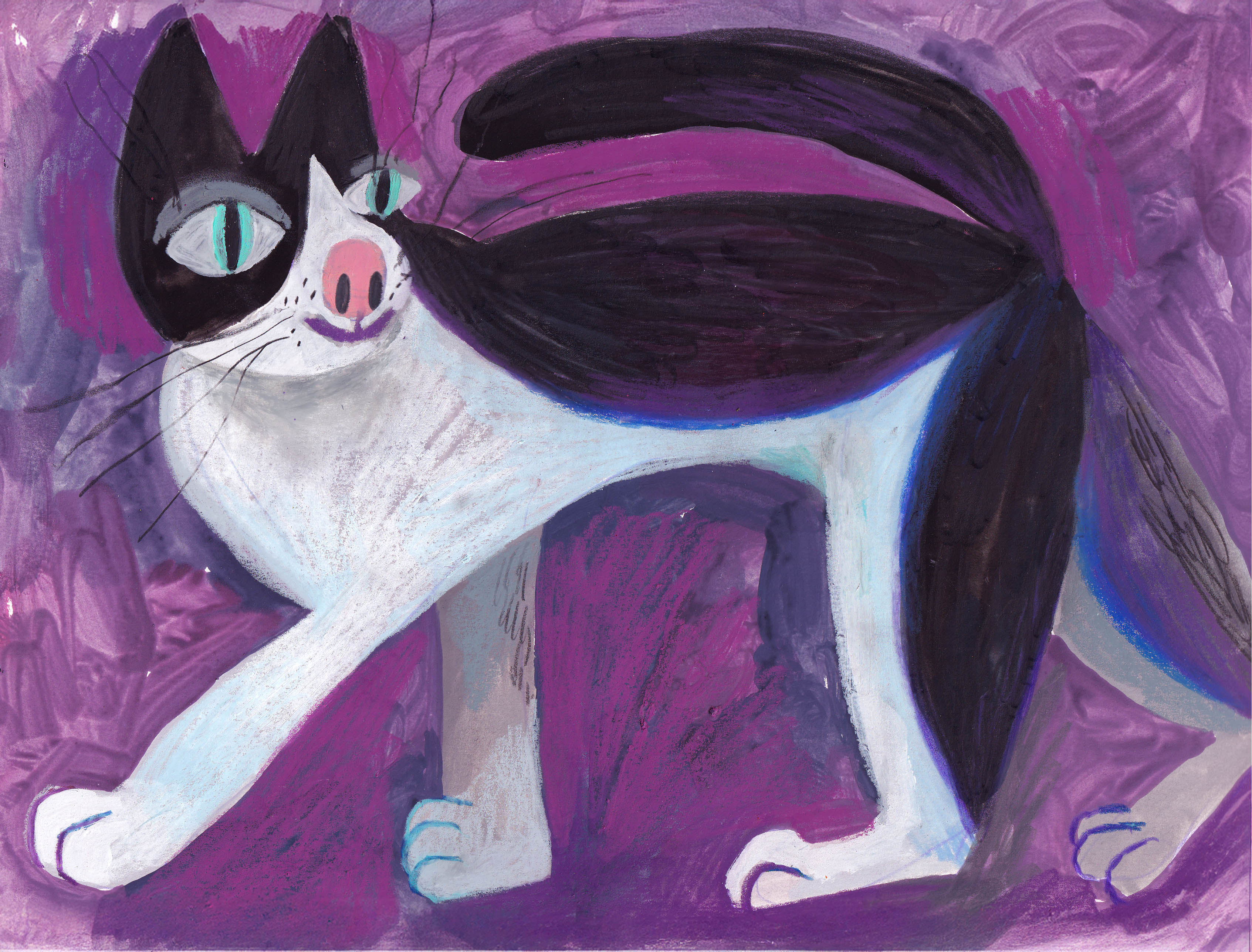 Cat on violet