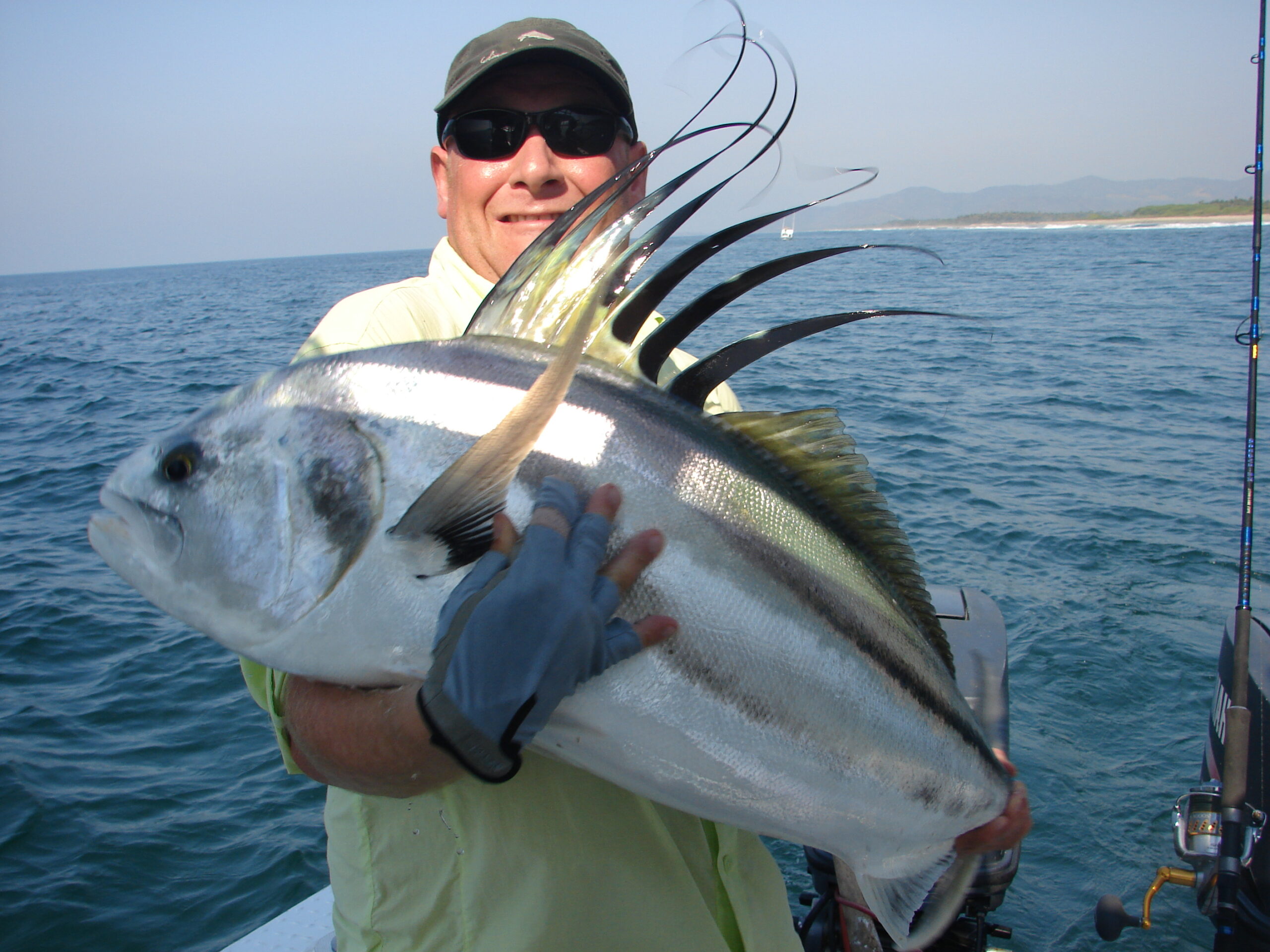 Mexico, sailfish, rooster, mahi mahi