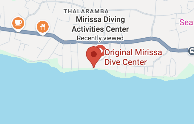 Mirissa dive centre scuba diving shop in sri lanka location