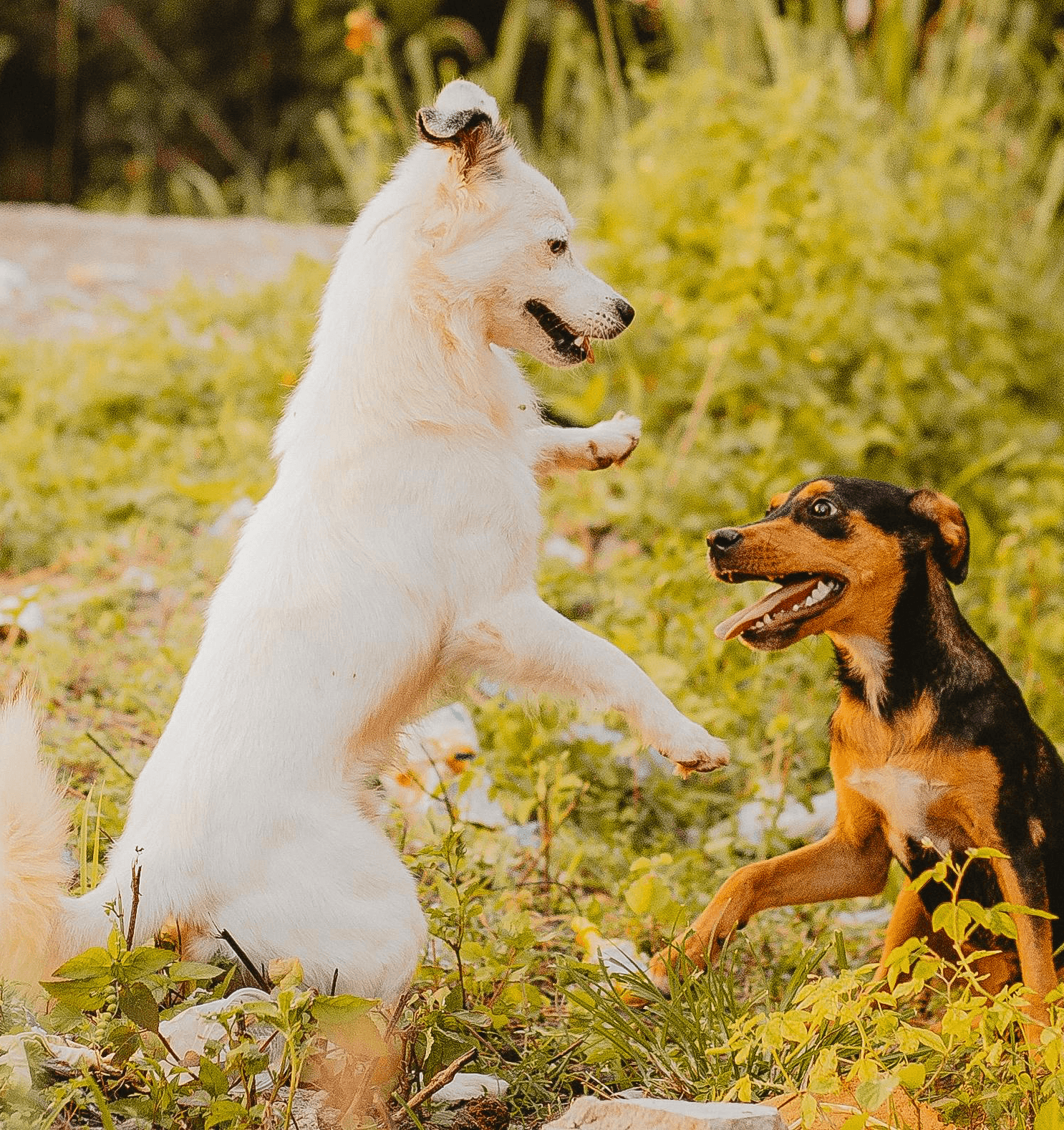 Portrait of three smiling people standing side by side against a neutral background — two men wearing black and grey t-shirts and a woman in a black zip-up hoodie.