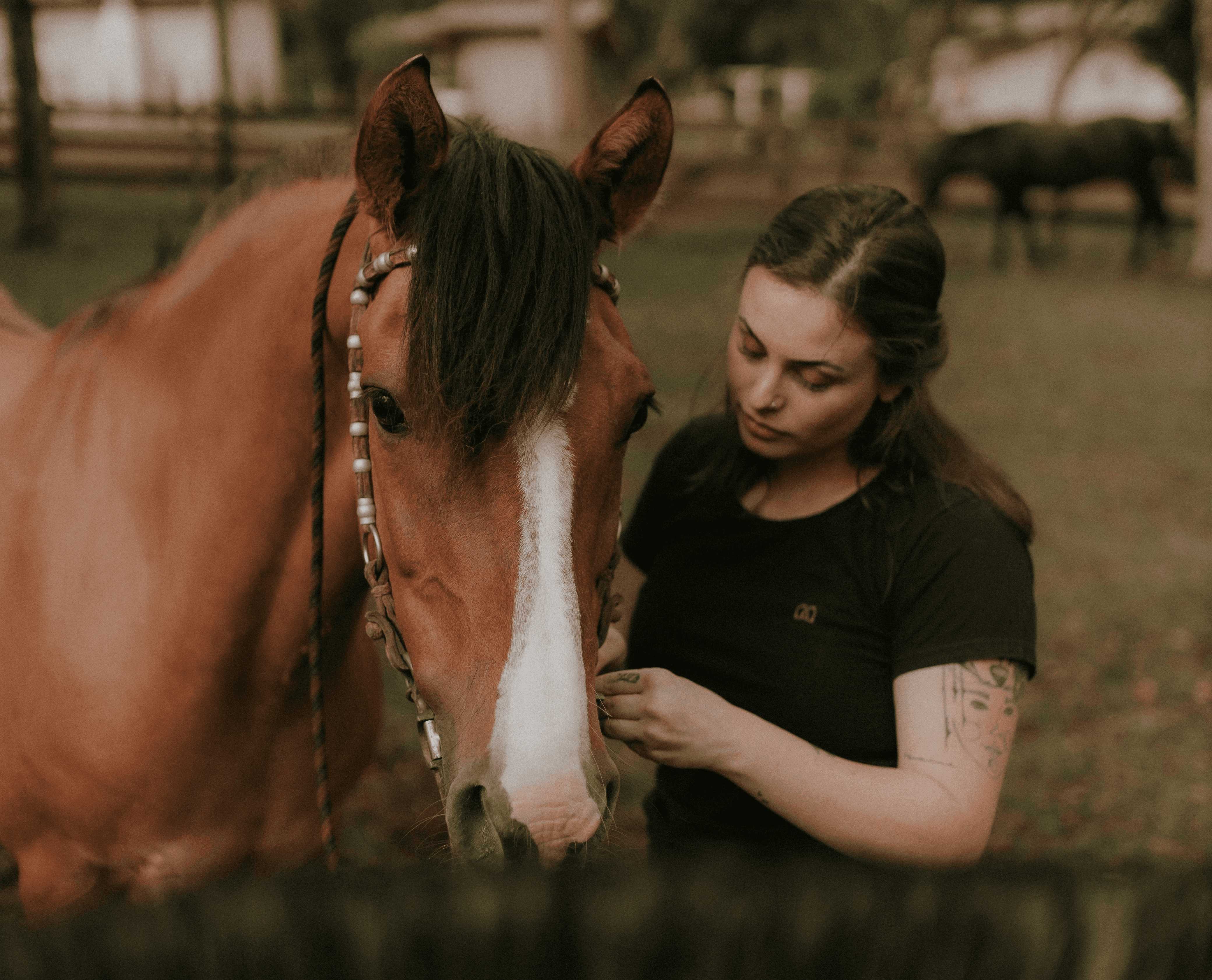 Woman gently interacting with a horse.