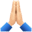 🙏🏻