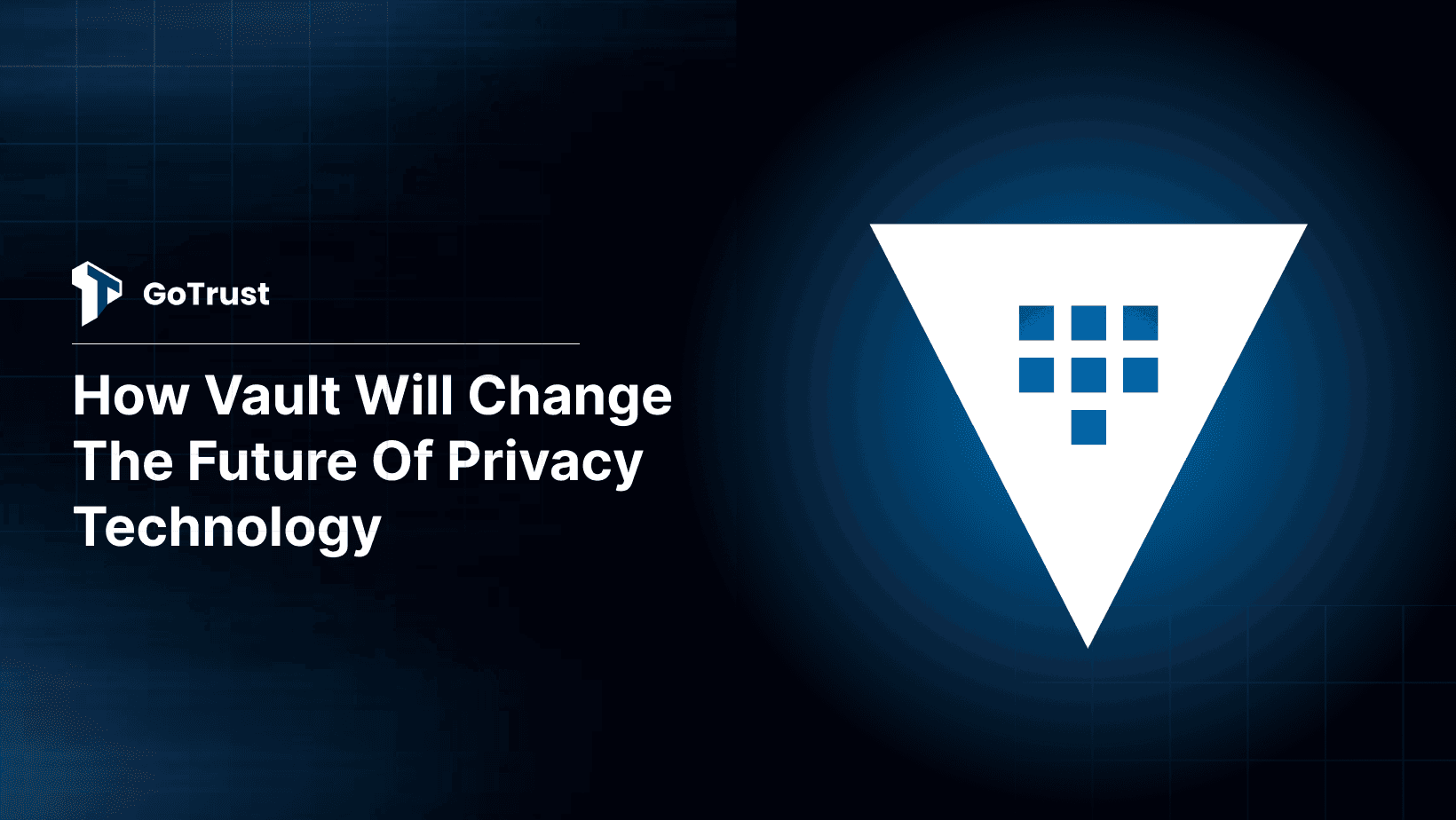 Unlocking the Power of Data Vaults in the Privacy Tech Landscape 