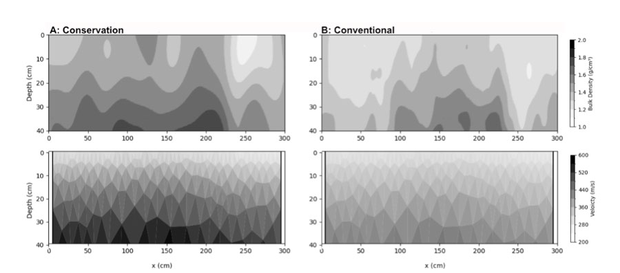 Seismic images