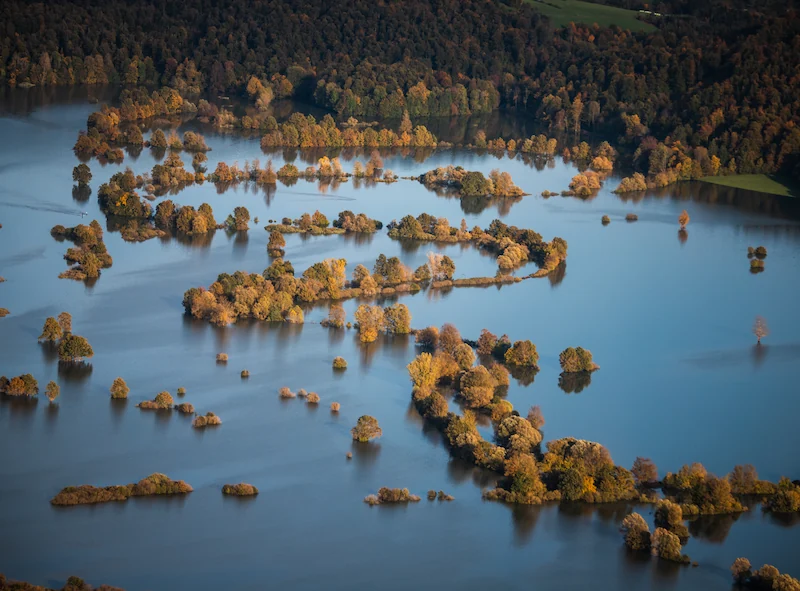 Flooded field at Planinsko polje, Slovenia, featuring colorful autumn trees partially submerged in calm, reflective water.