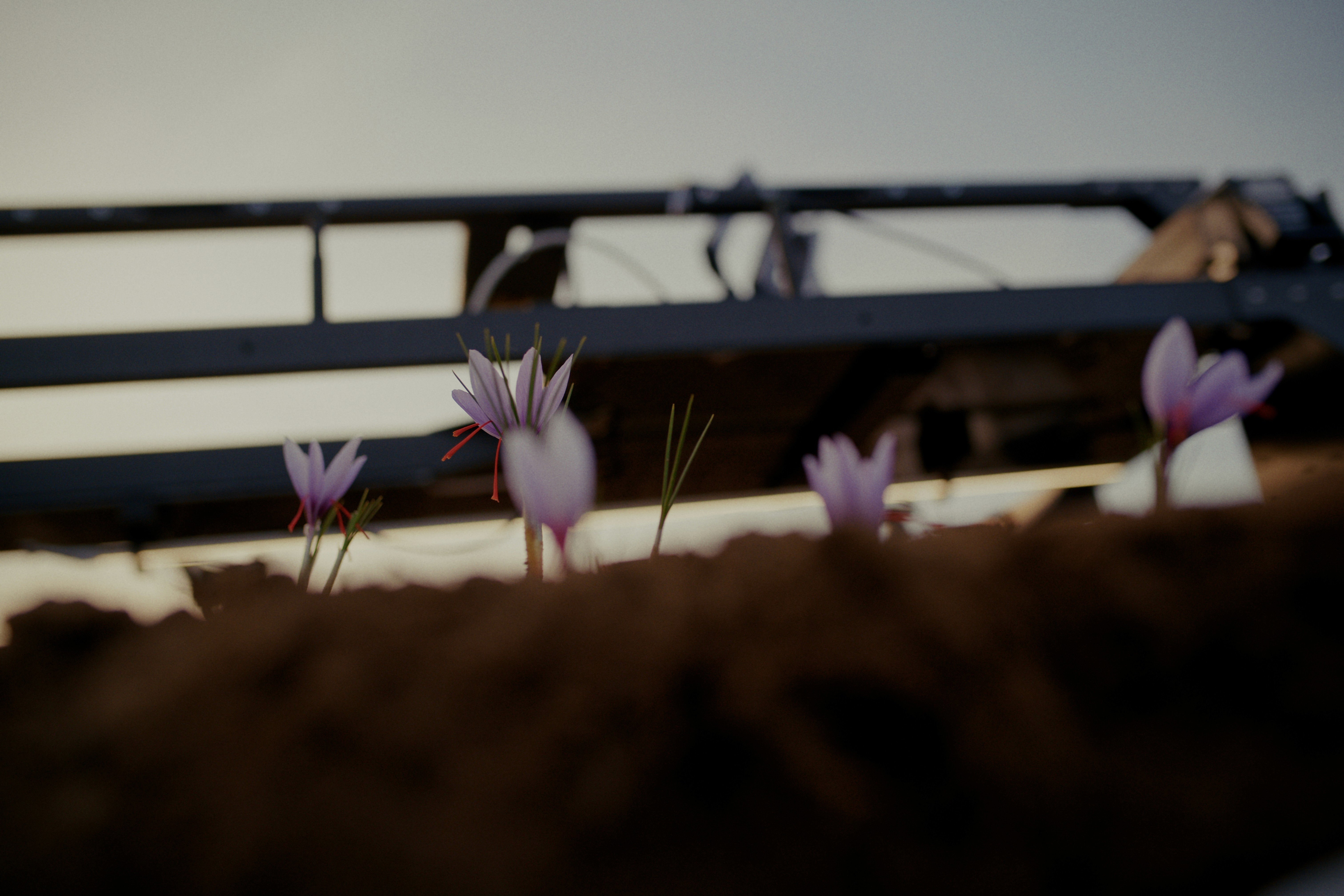Batch.Works logo over a photo of a box of 3D printed objects