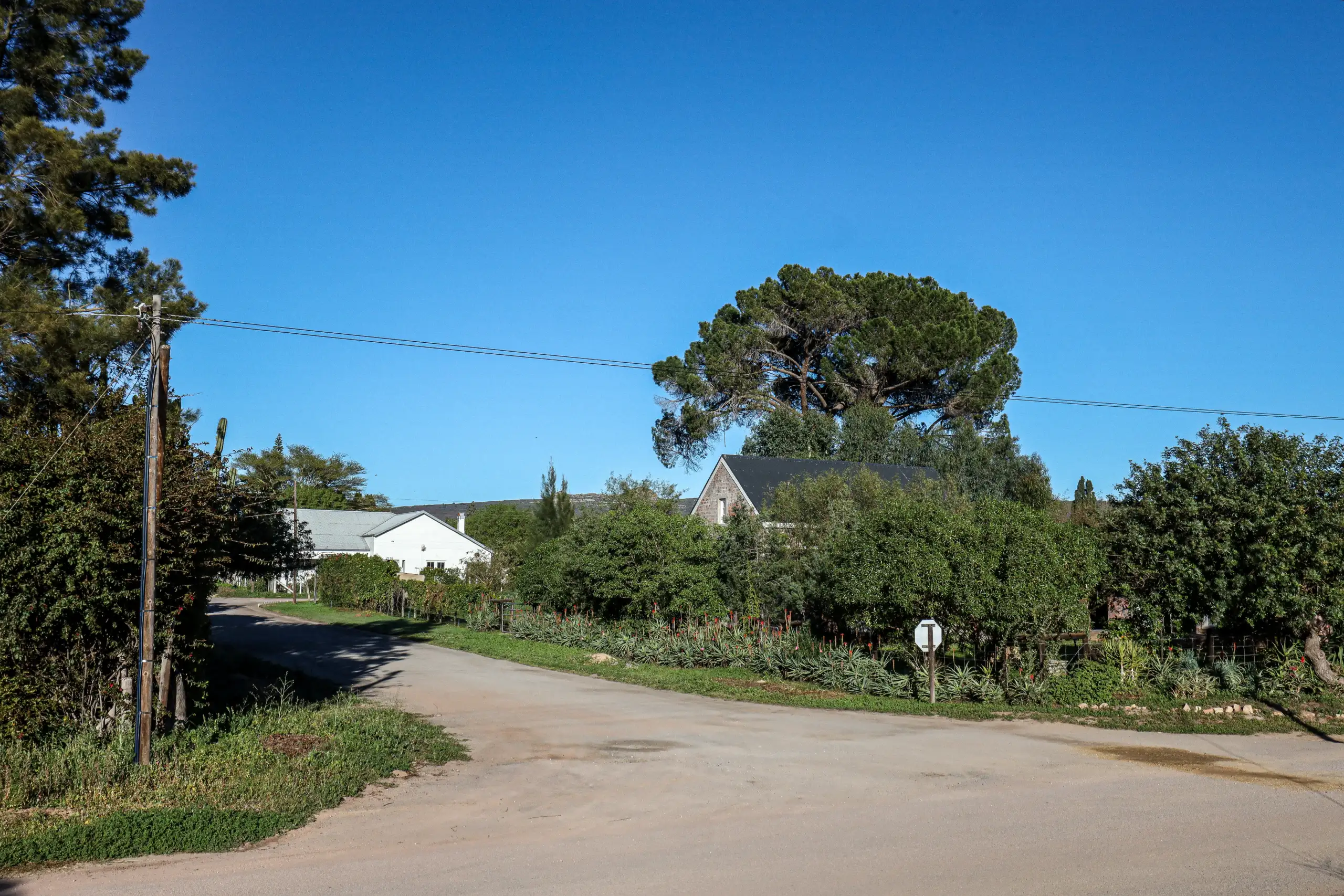 Why Consider Buying Property in Redelinghuys