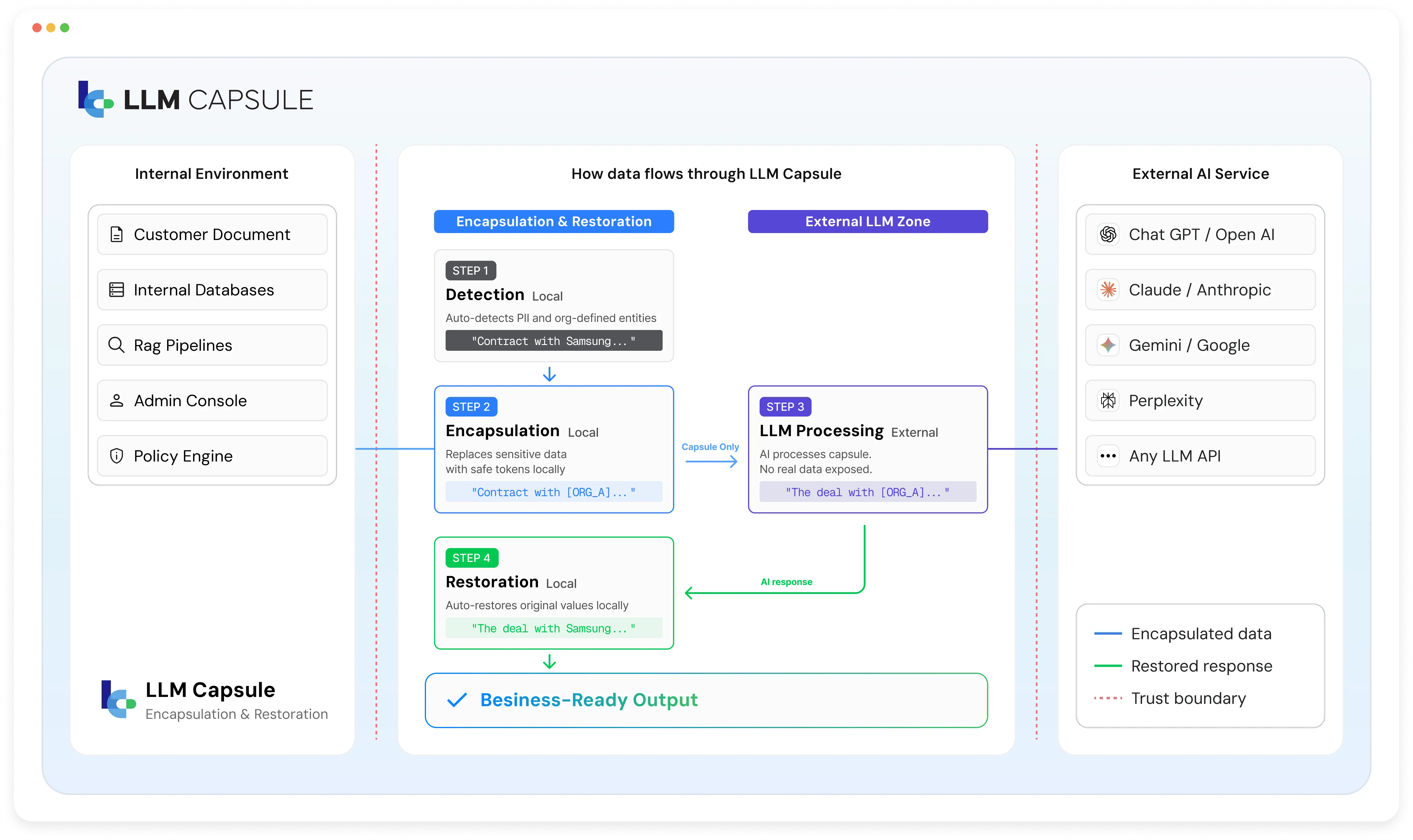 LLM Capsule Architecture Diagram