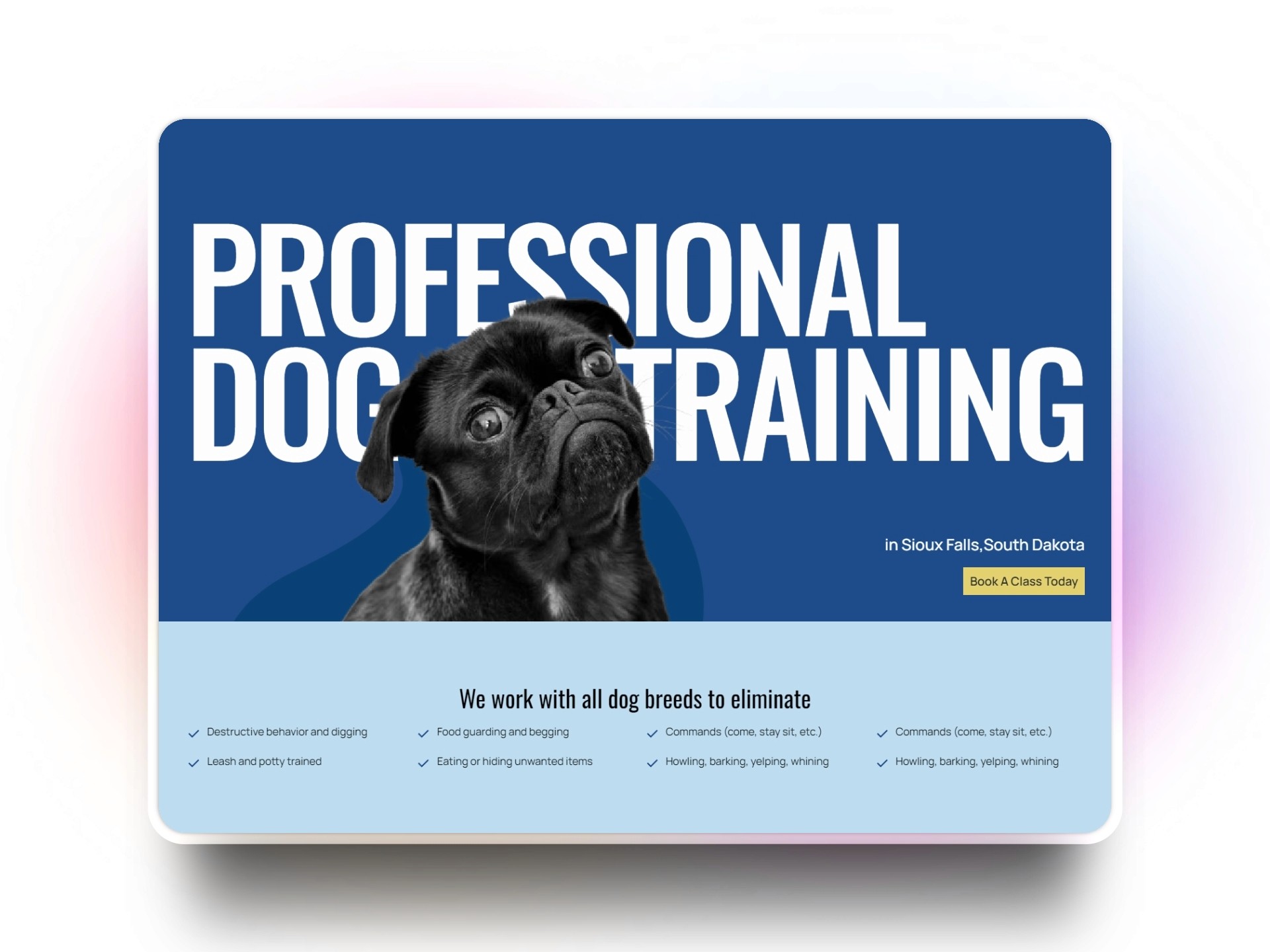 Hero Section preview of A1 Dixie Dog Training