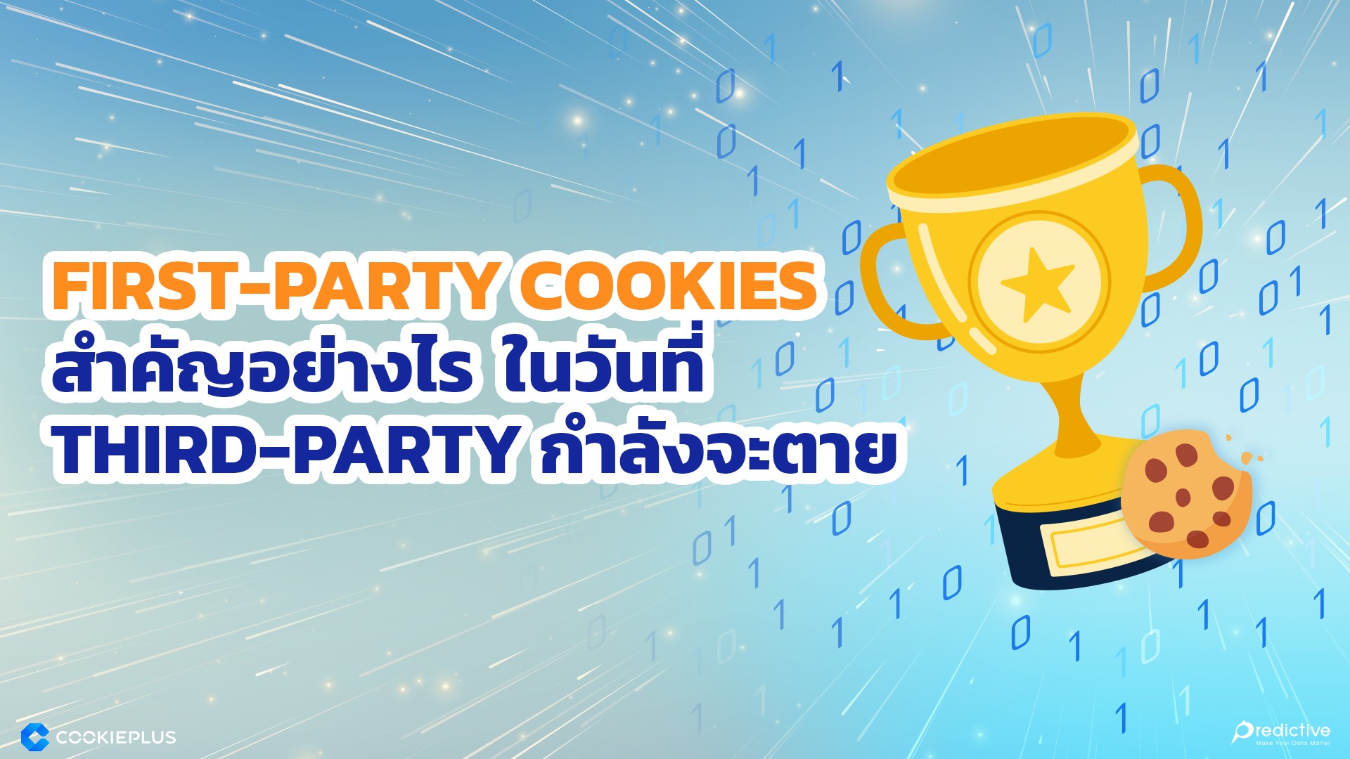 Privacy Frist Cookies