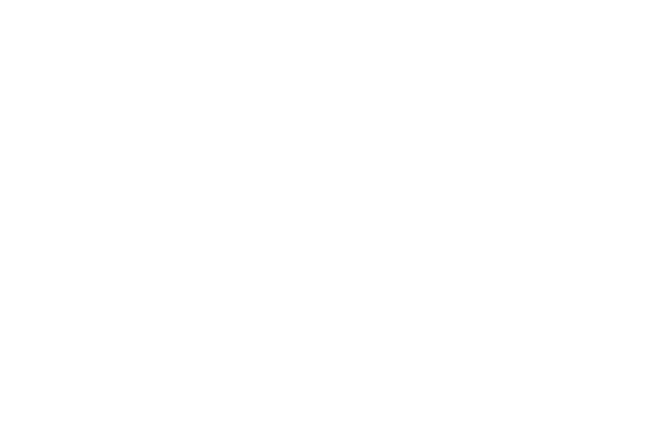 Logo for an imagined company
