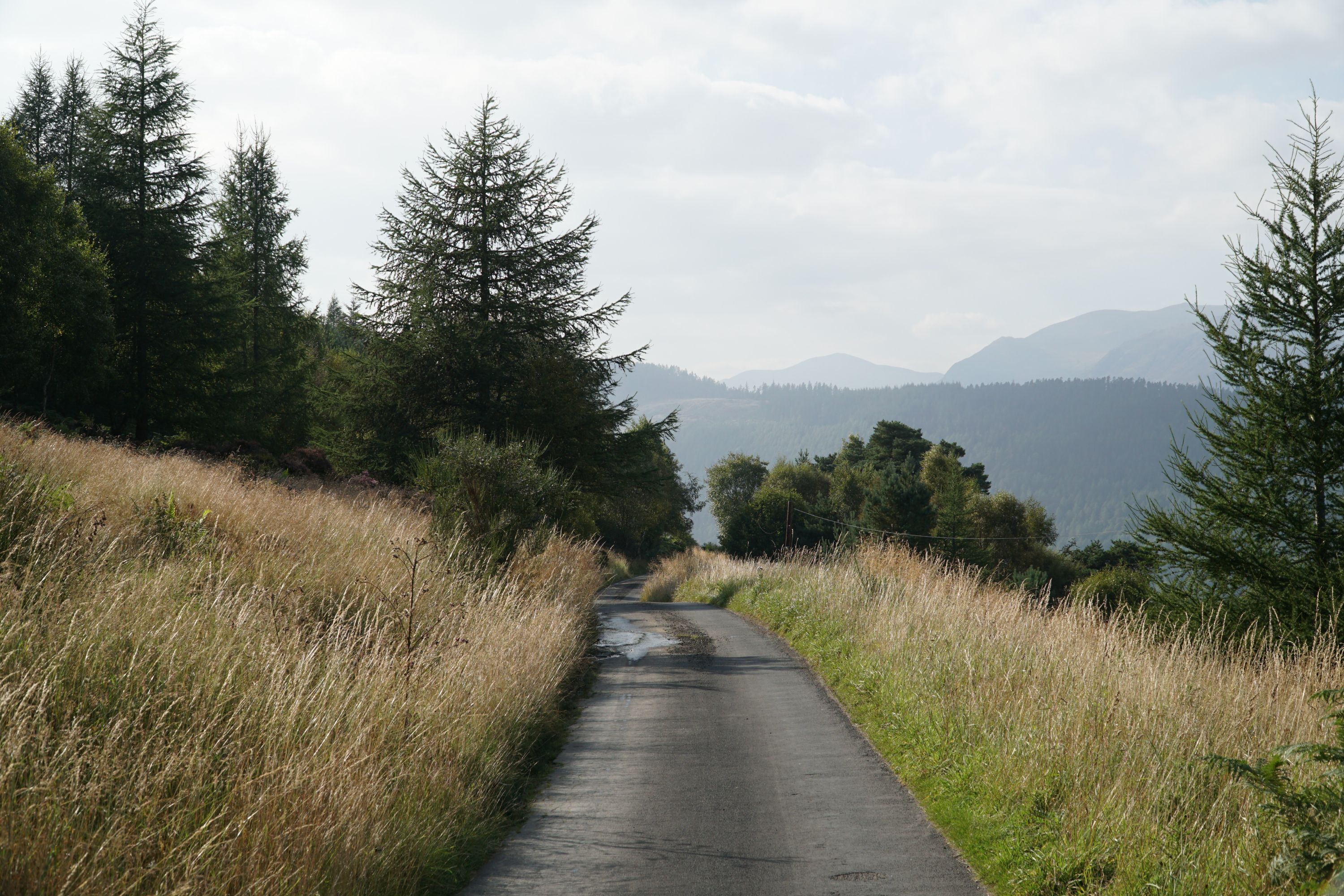 On the road towards Loch Tay, a summer view of the rolling hills in Scotland