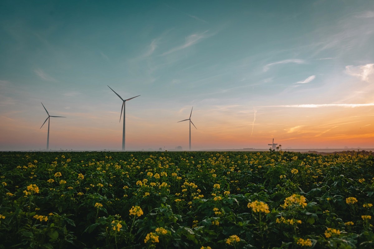 Wind turbines over a dark green field