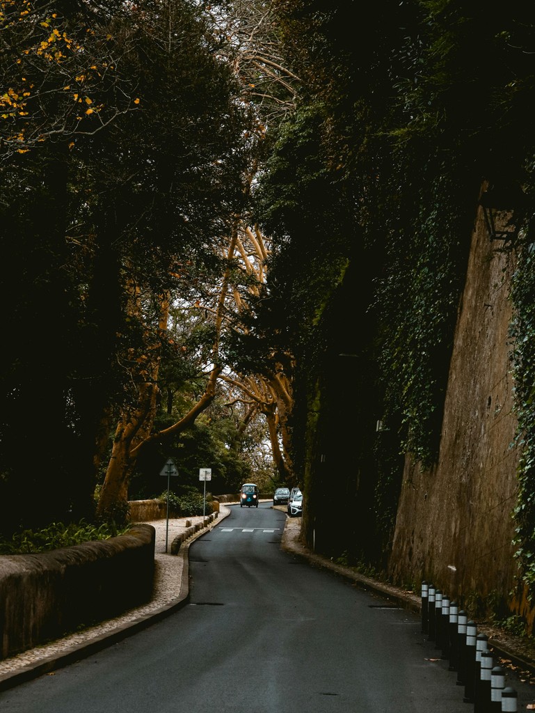 Shaded garden path in Sintra