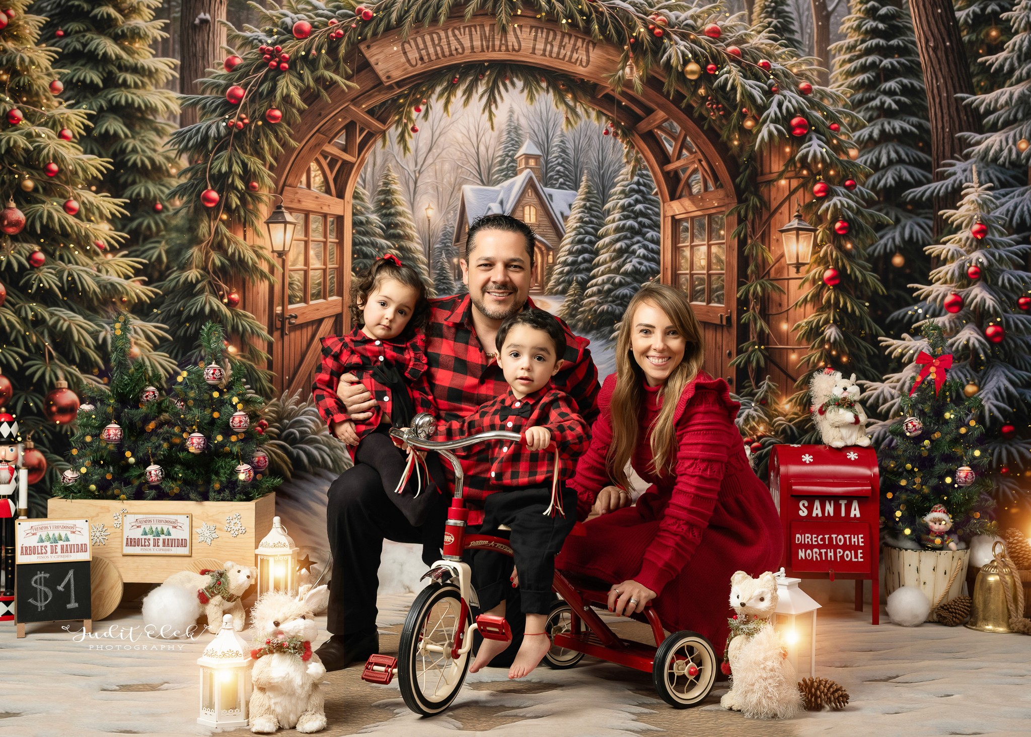 sesión navideña en estudio fotográfico con familia