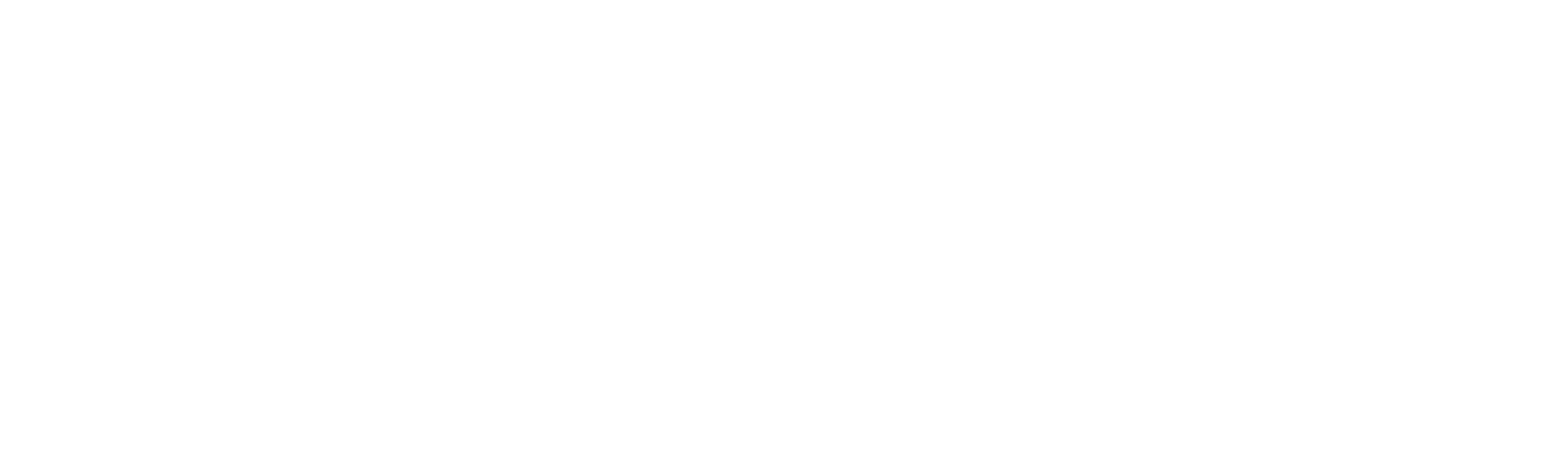 Full Light Select Motor Recruitment Logo