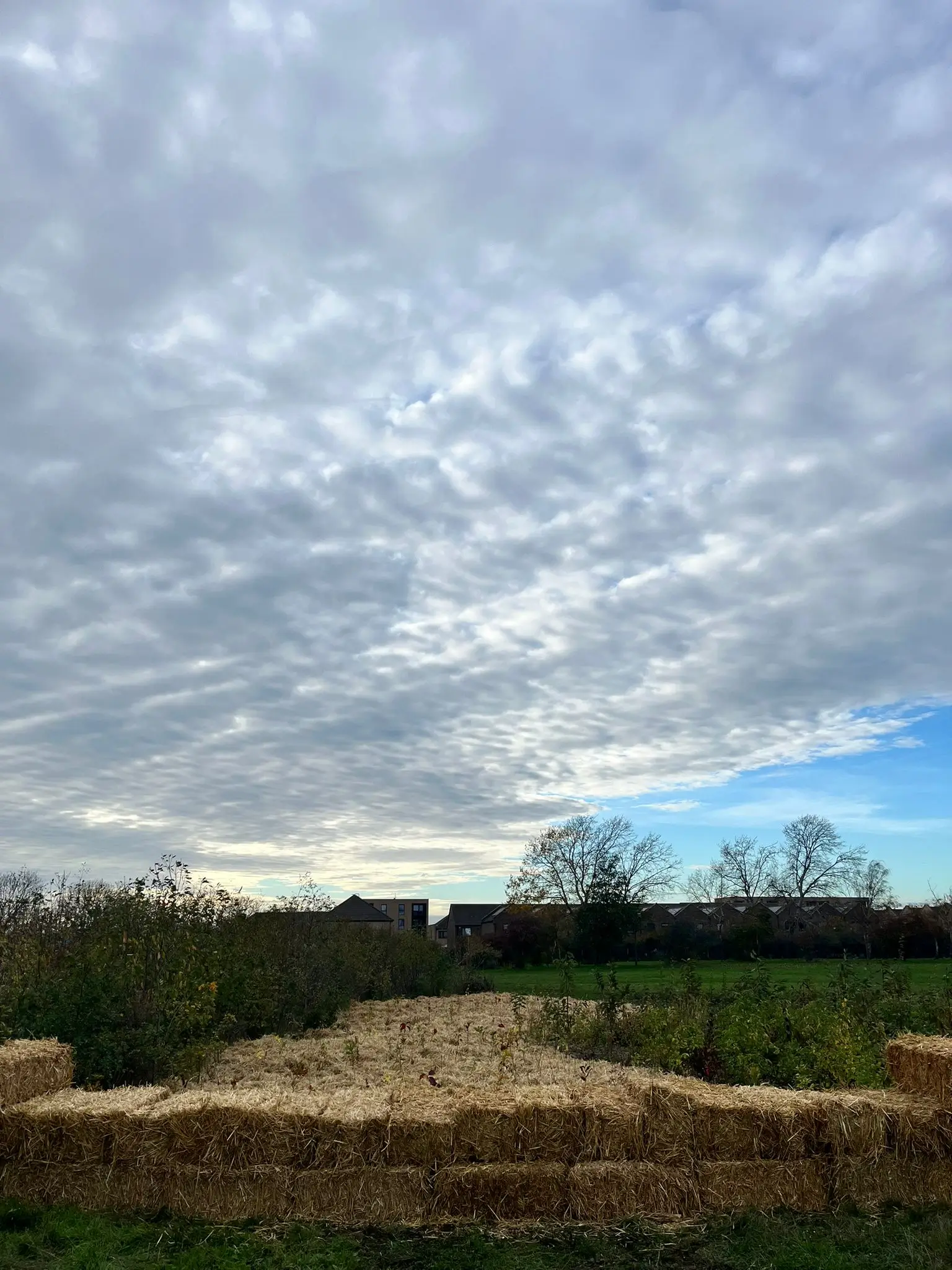 A cloudy sky with textured clouds above a green field and a hint of blue peeking through the clouds.