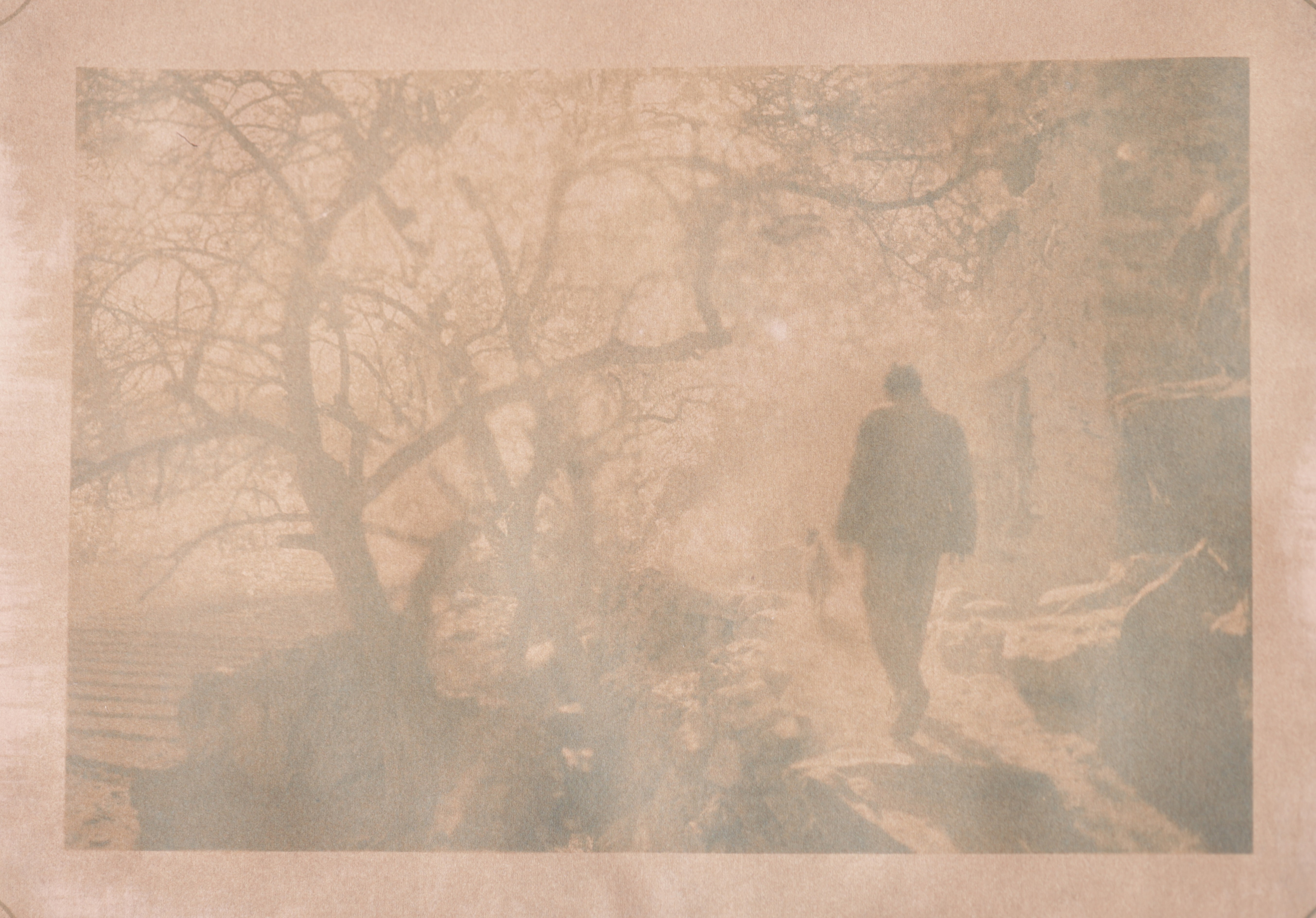 herd of sheep on road painting