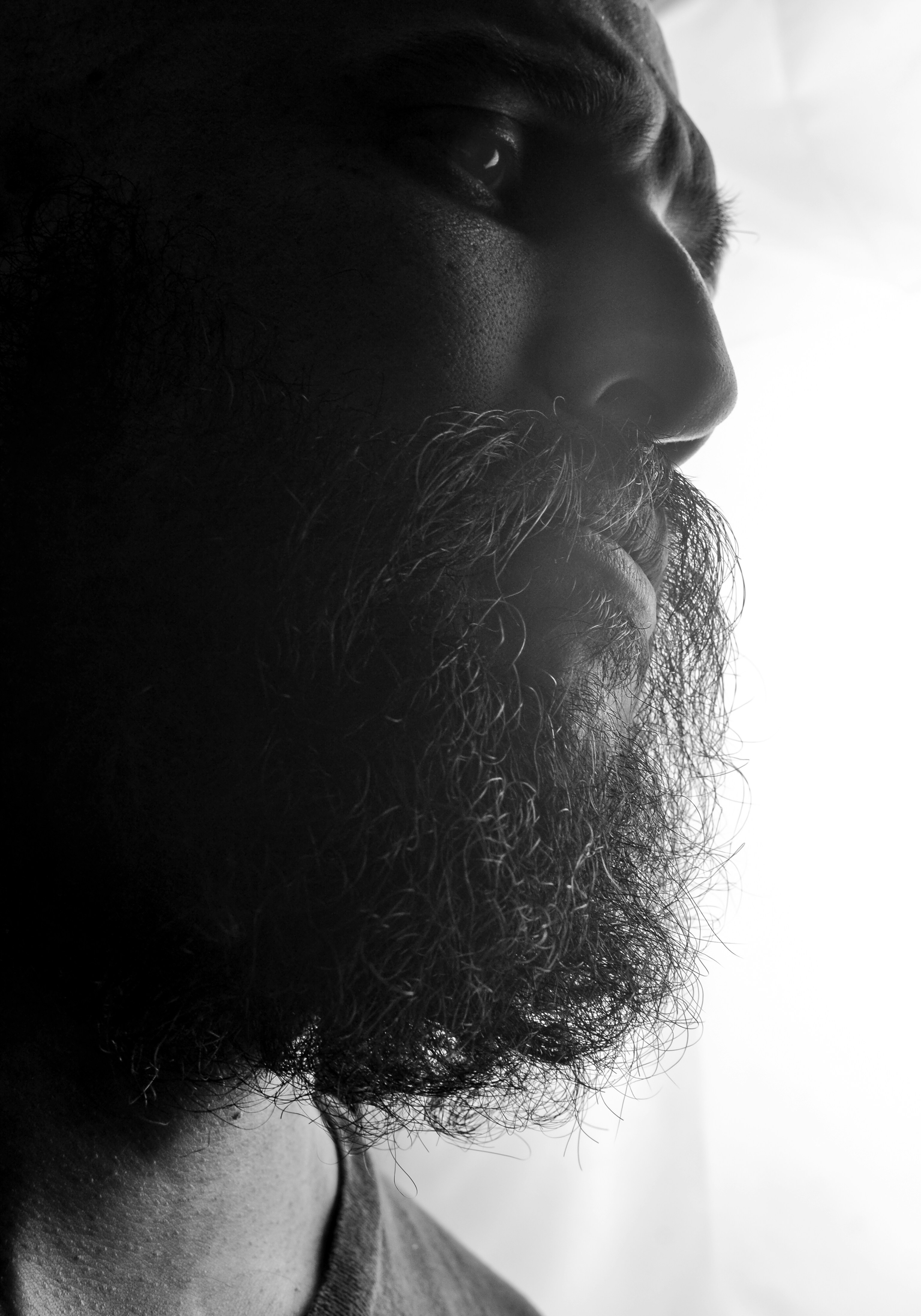 Close-up profile of a man with a long beard.