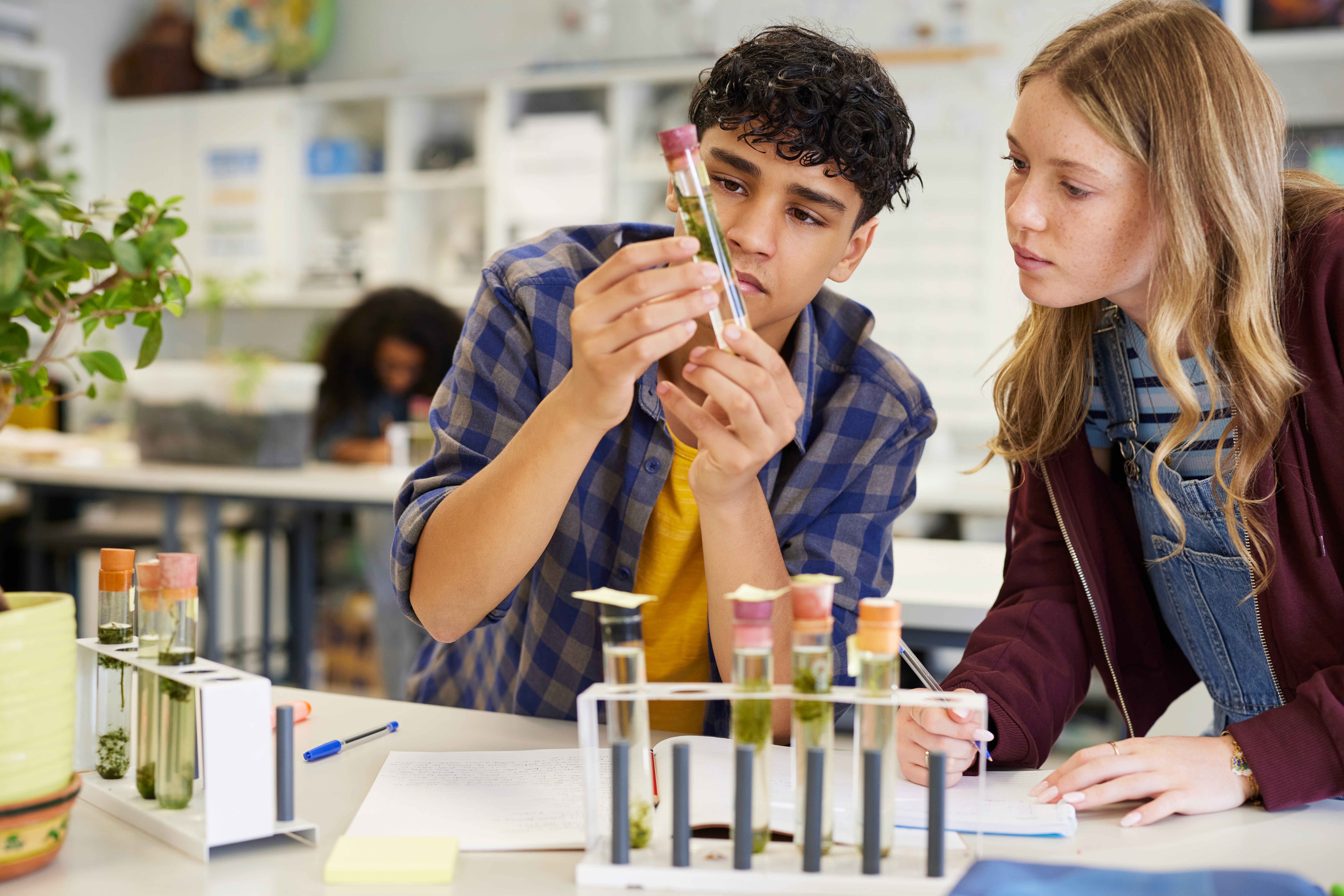 IB DP students doing Biology assignment