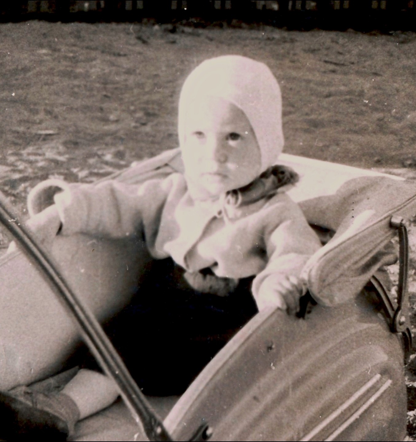 Väike Raivo vankris istumas