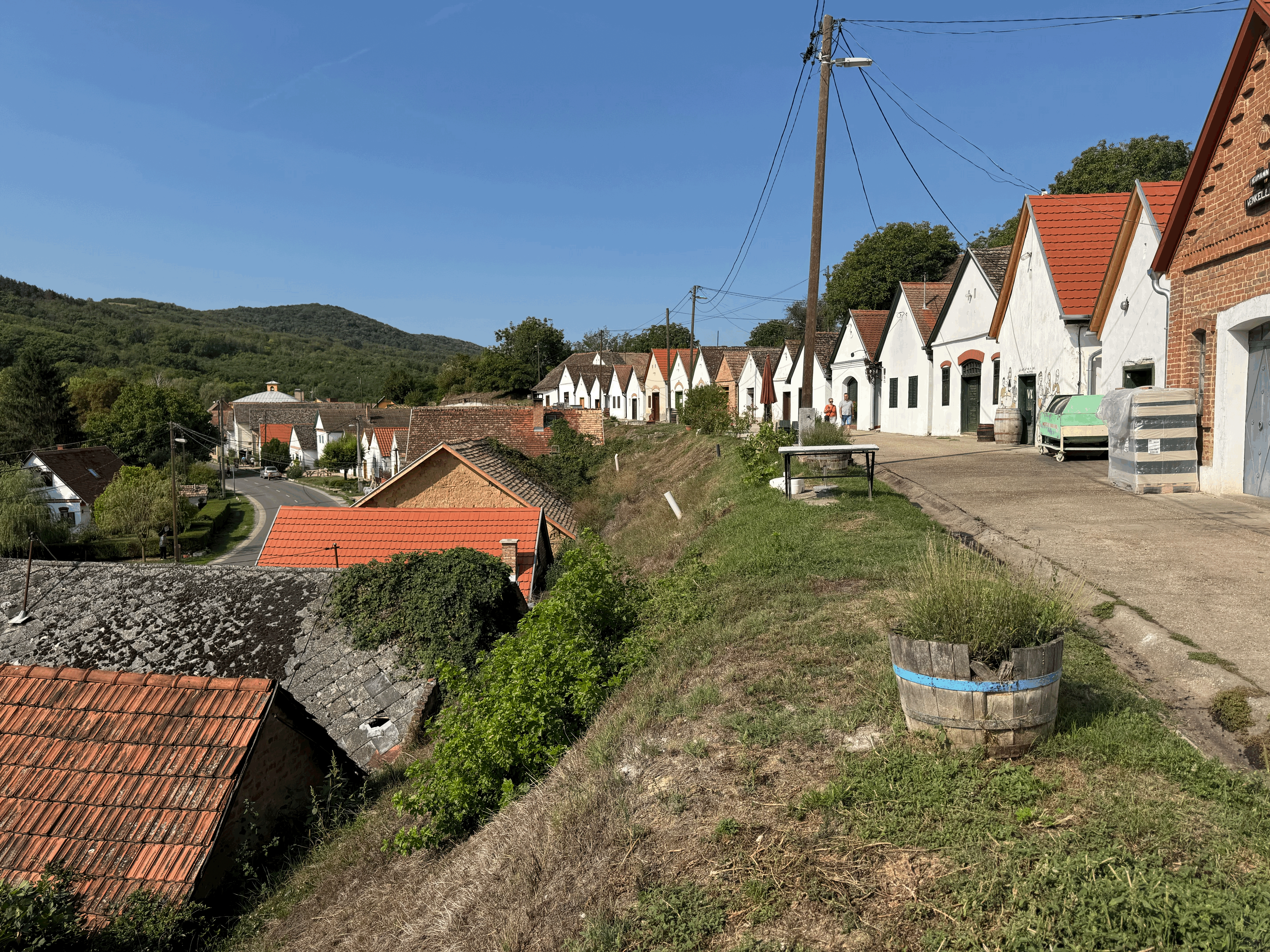 Vilány, a region that holds both traditon and transformation to Hungary's next chapter. Here old wine cellars dug into the hill side.