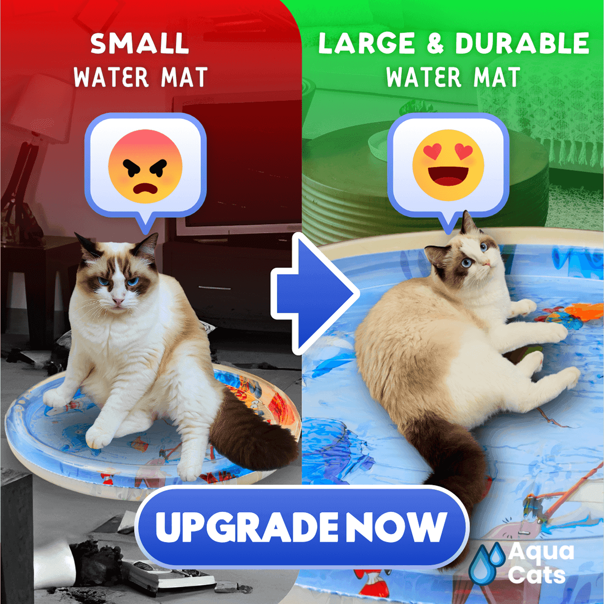 AquaPaws Advertisement Design — image 2