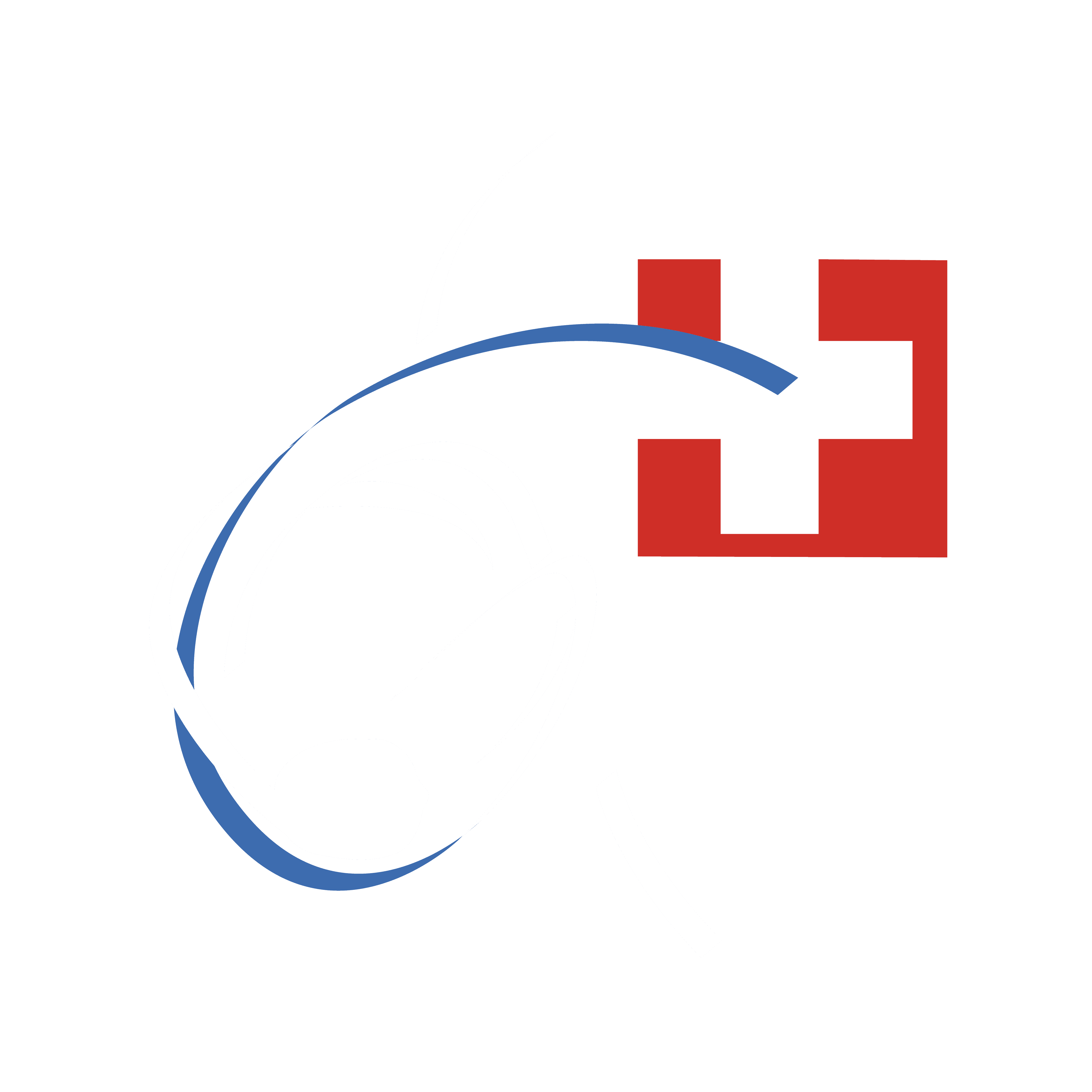 Logo for Swiss Judo Federation