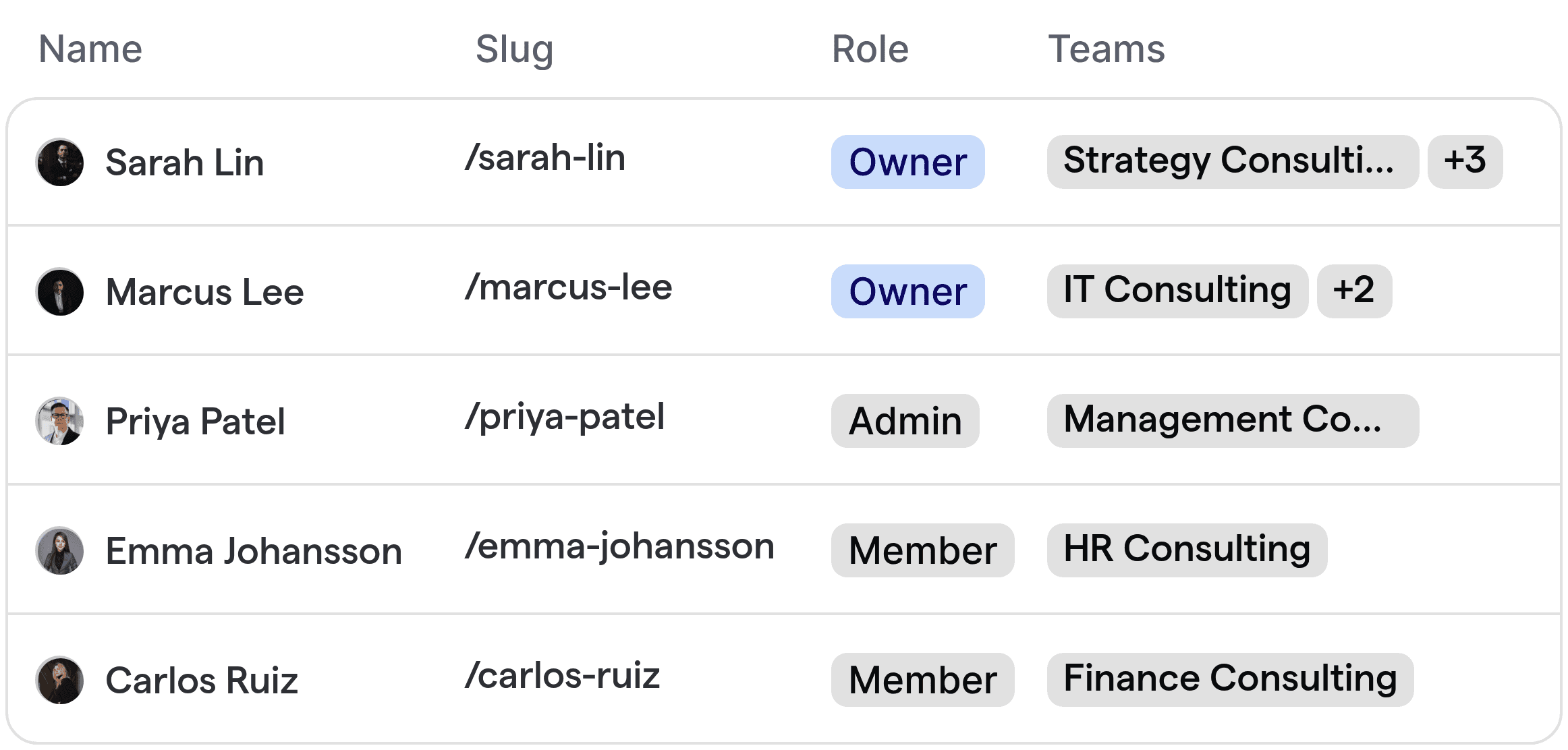 Consultant assignment and team overview for consulting agencies.