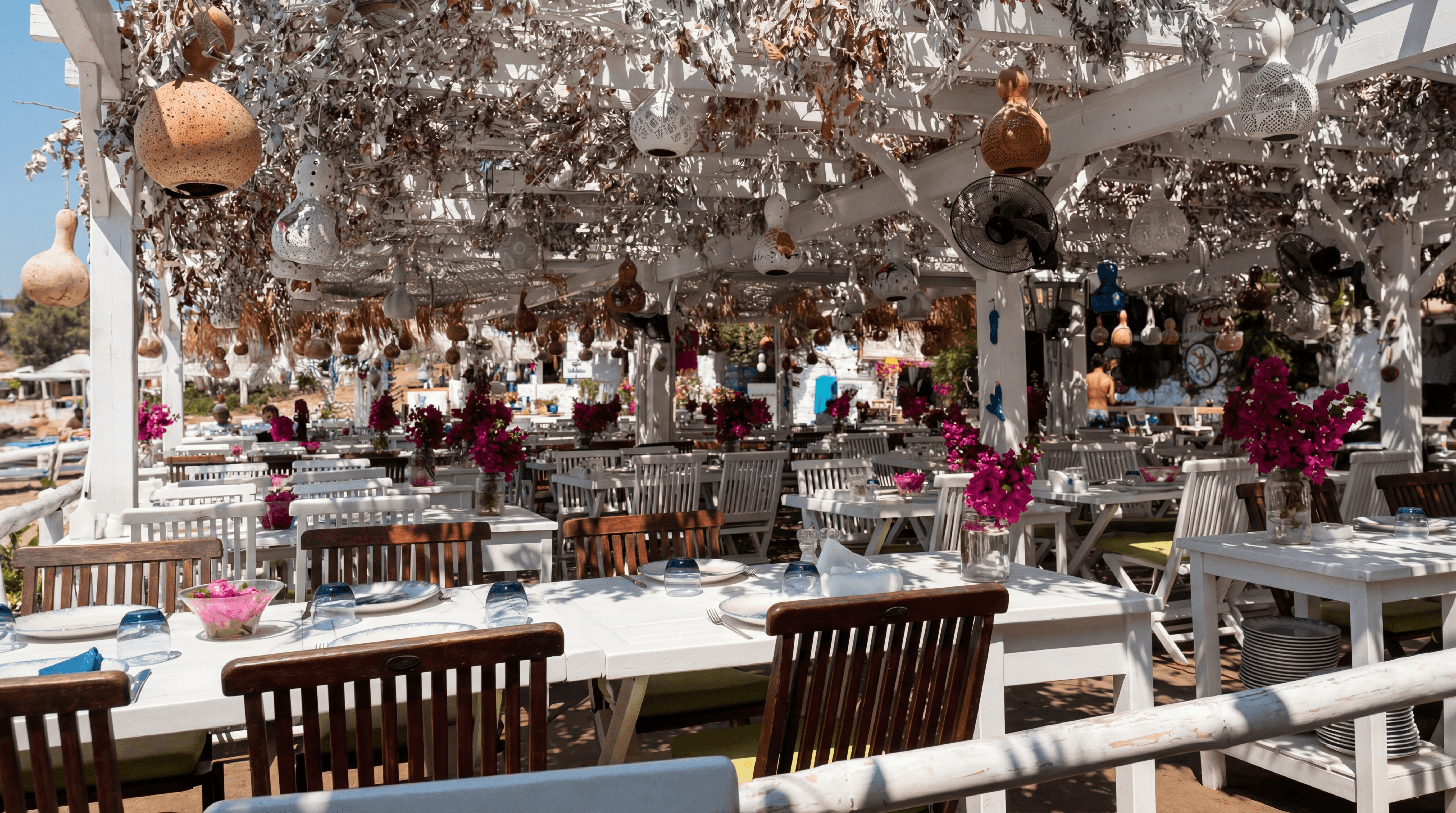 Mimoza restaurant in Gümüşlük Bodrum with outdoor waterfront seating and traditional seafood dining setting