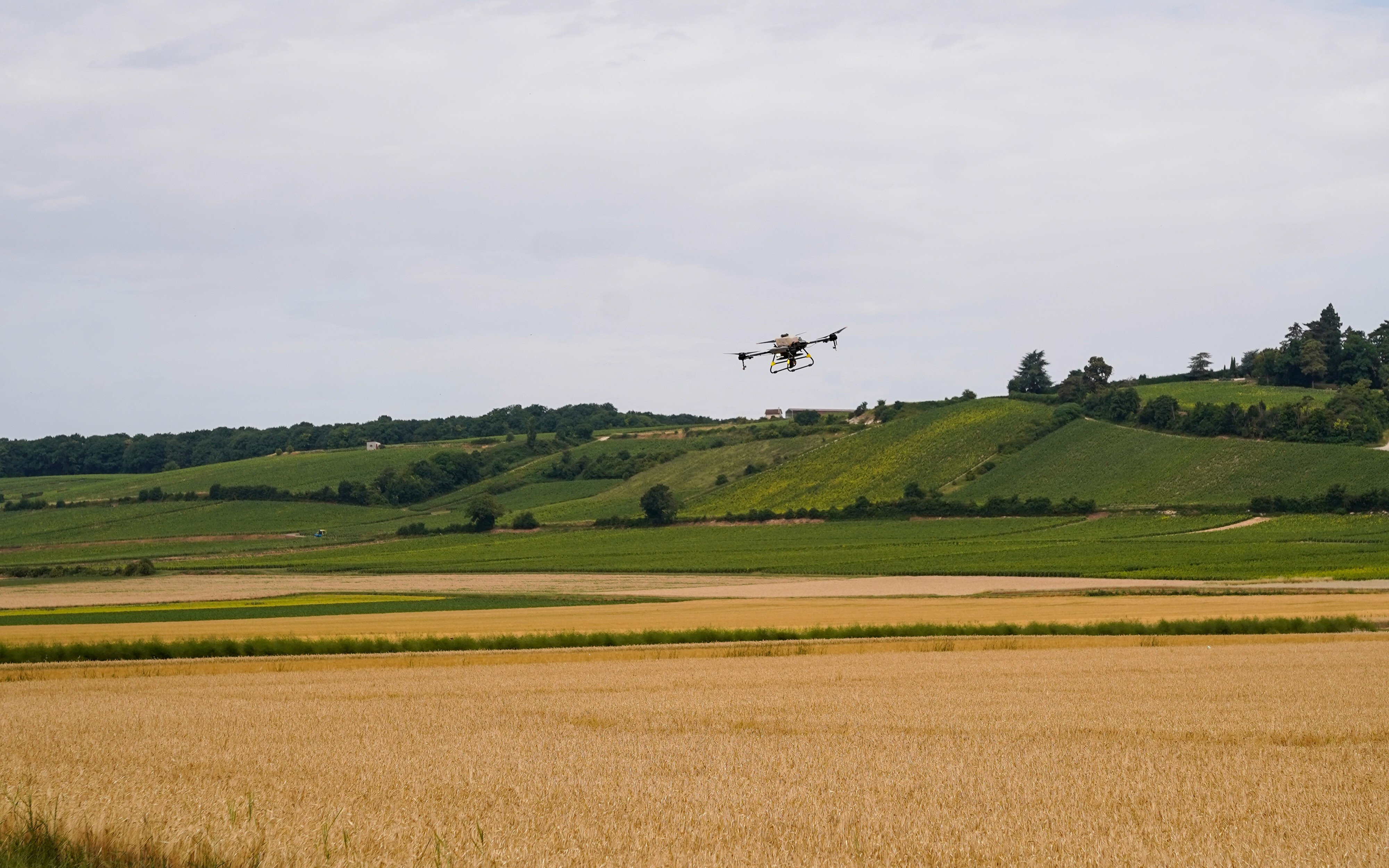 Regenrate | Drone seeding with ai, the new way of bringing value to the farm.