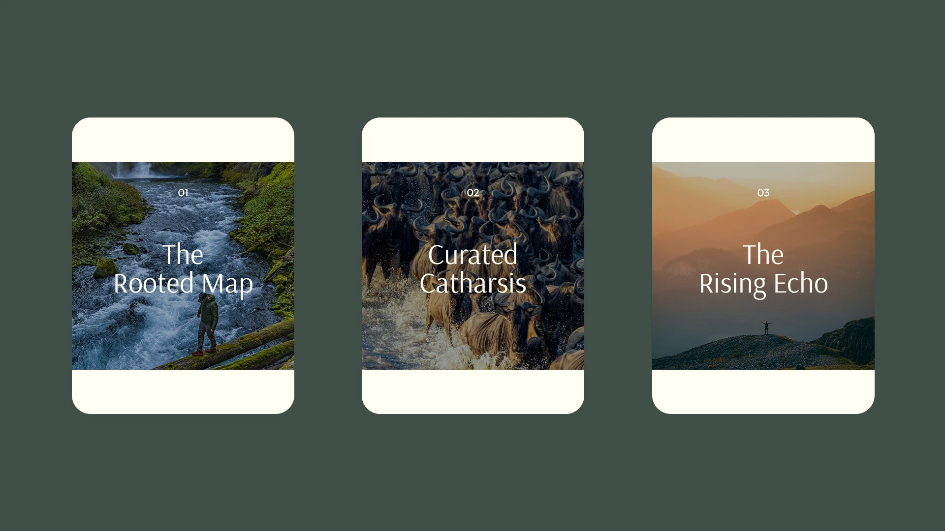 App Design with brand identity