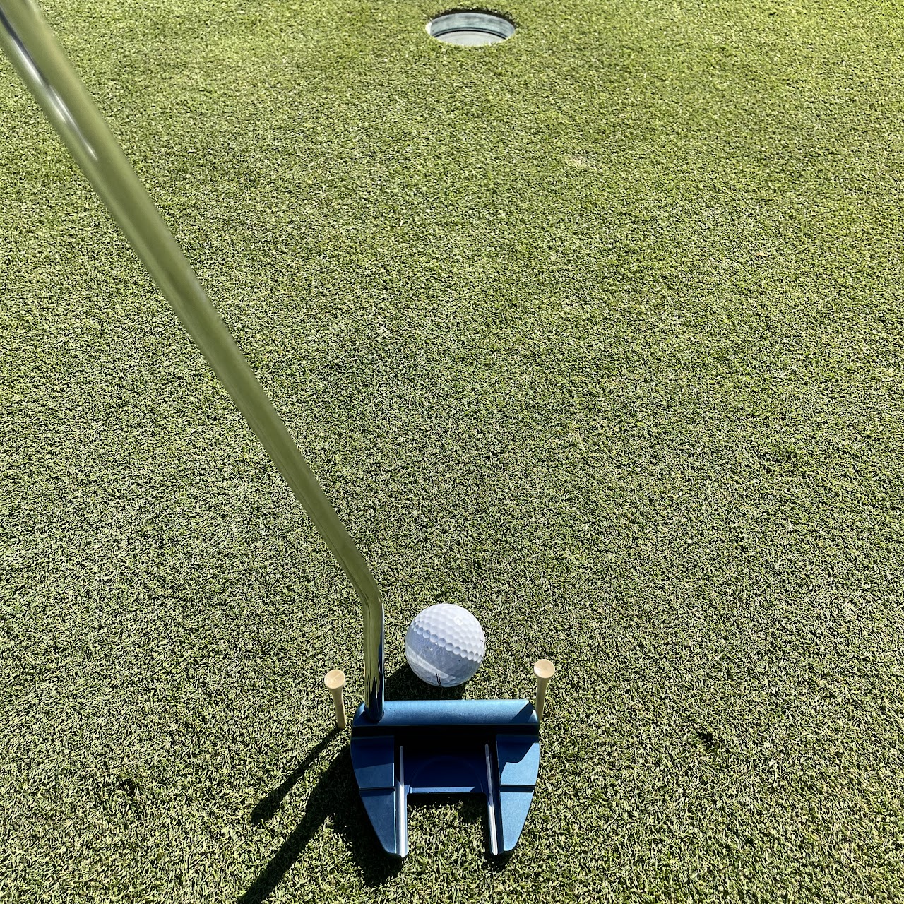 A putter club with a ball lined up between two tees facing the cup.