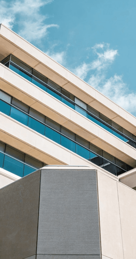 Cannabis Flowers by Linsboer