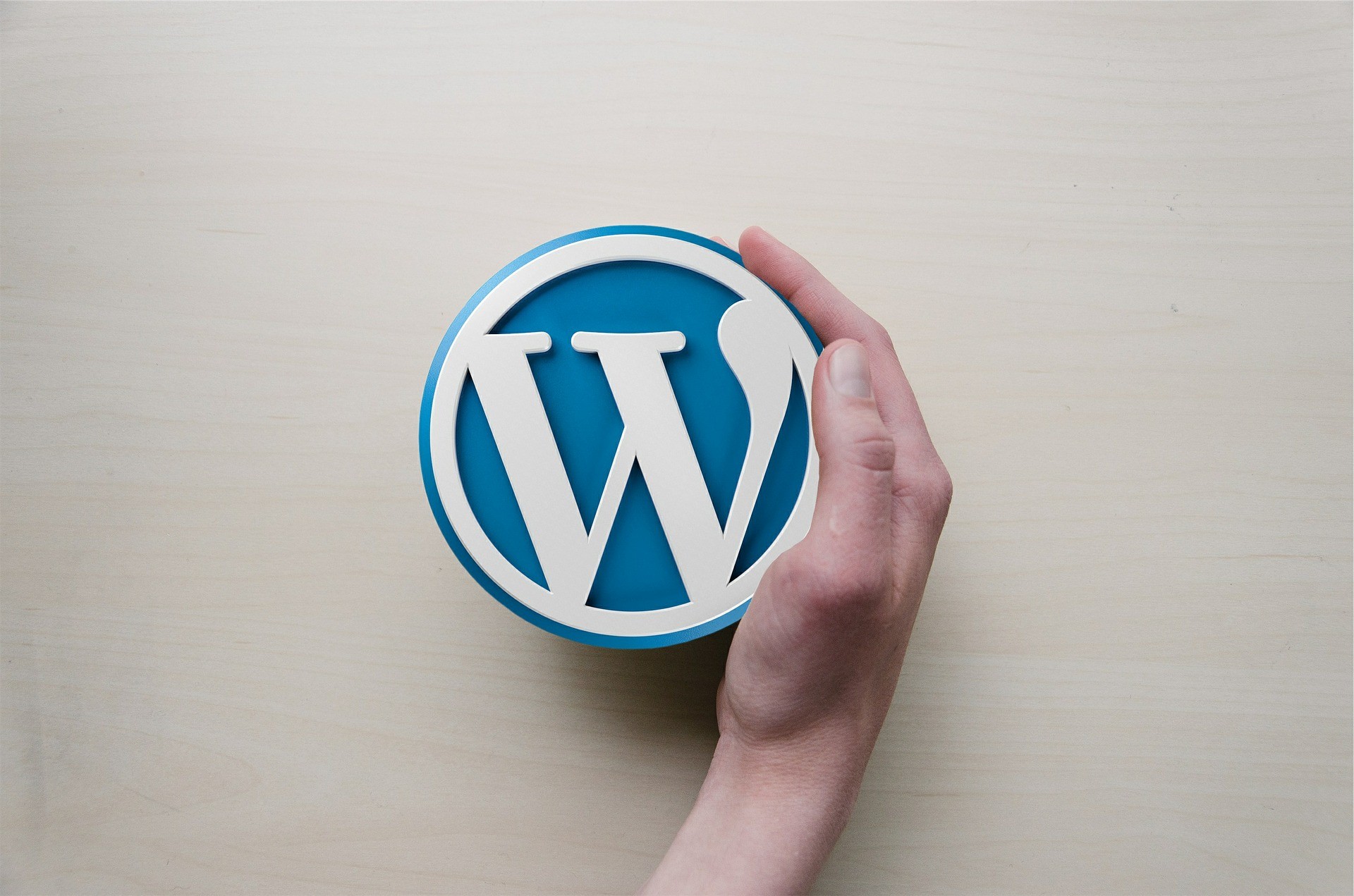 WordPress logo, a stylized 'W' in a blue circle.