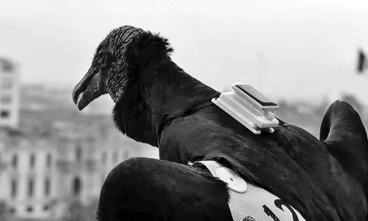 Results from The Cocreation workshop