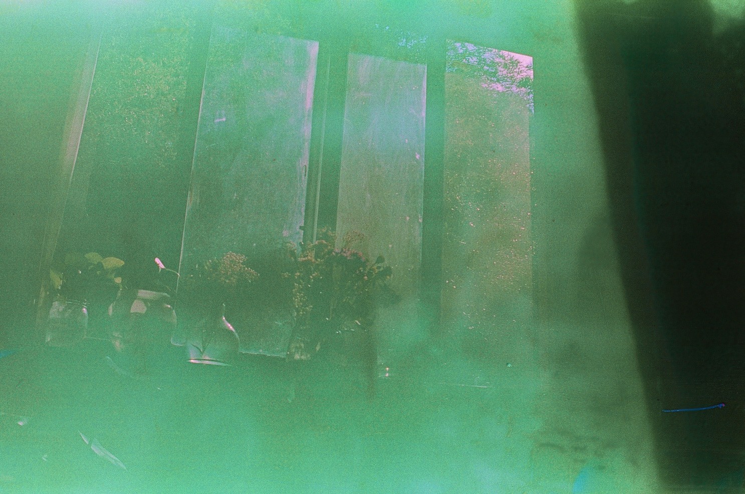 a film photography of abstract 