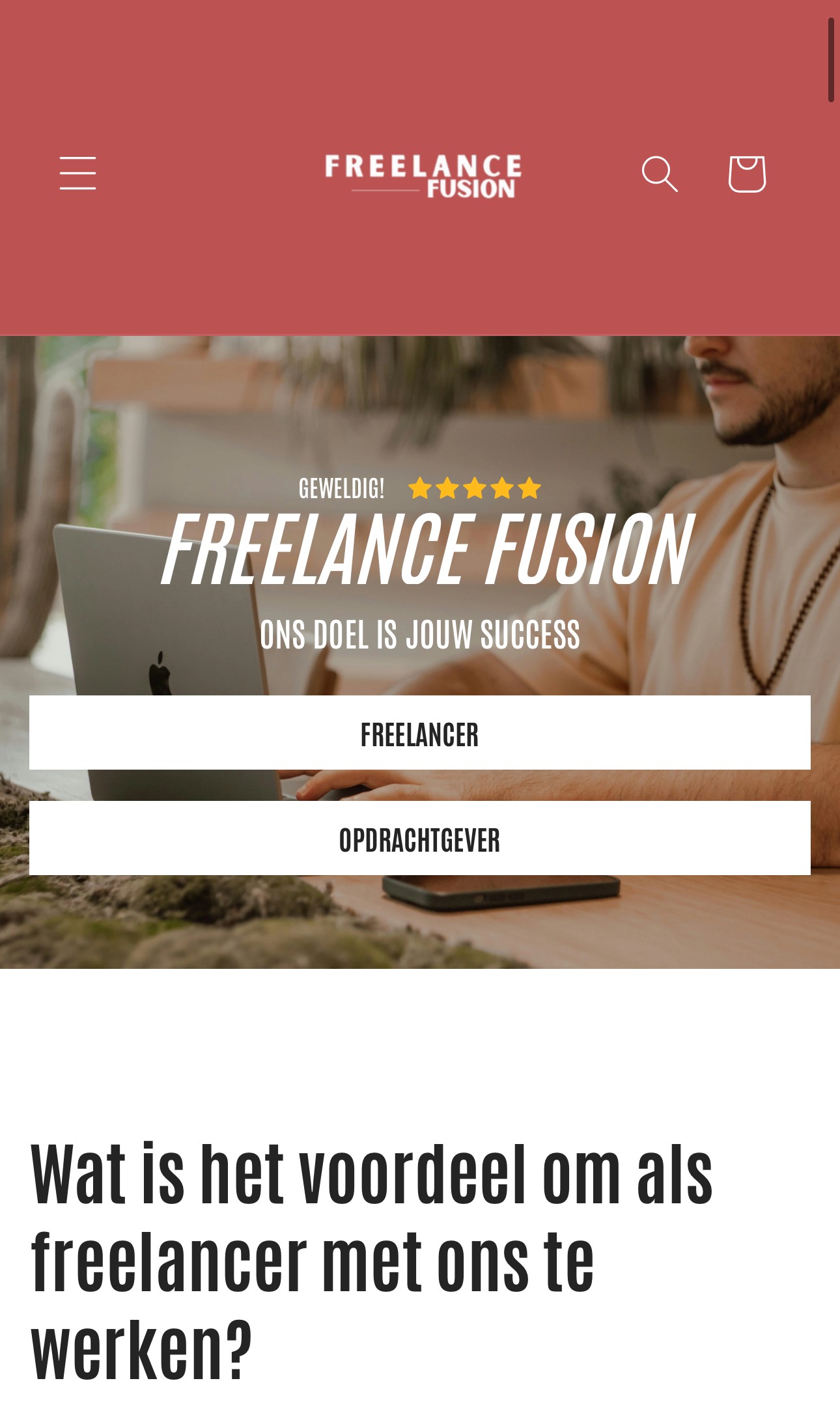 Portfolio project image