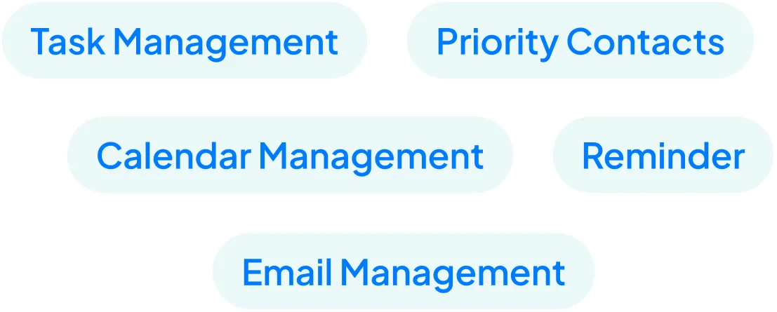 Sarah Organizes Illustration