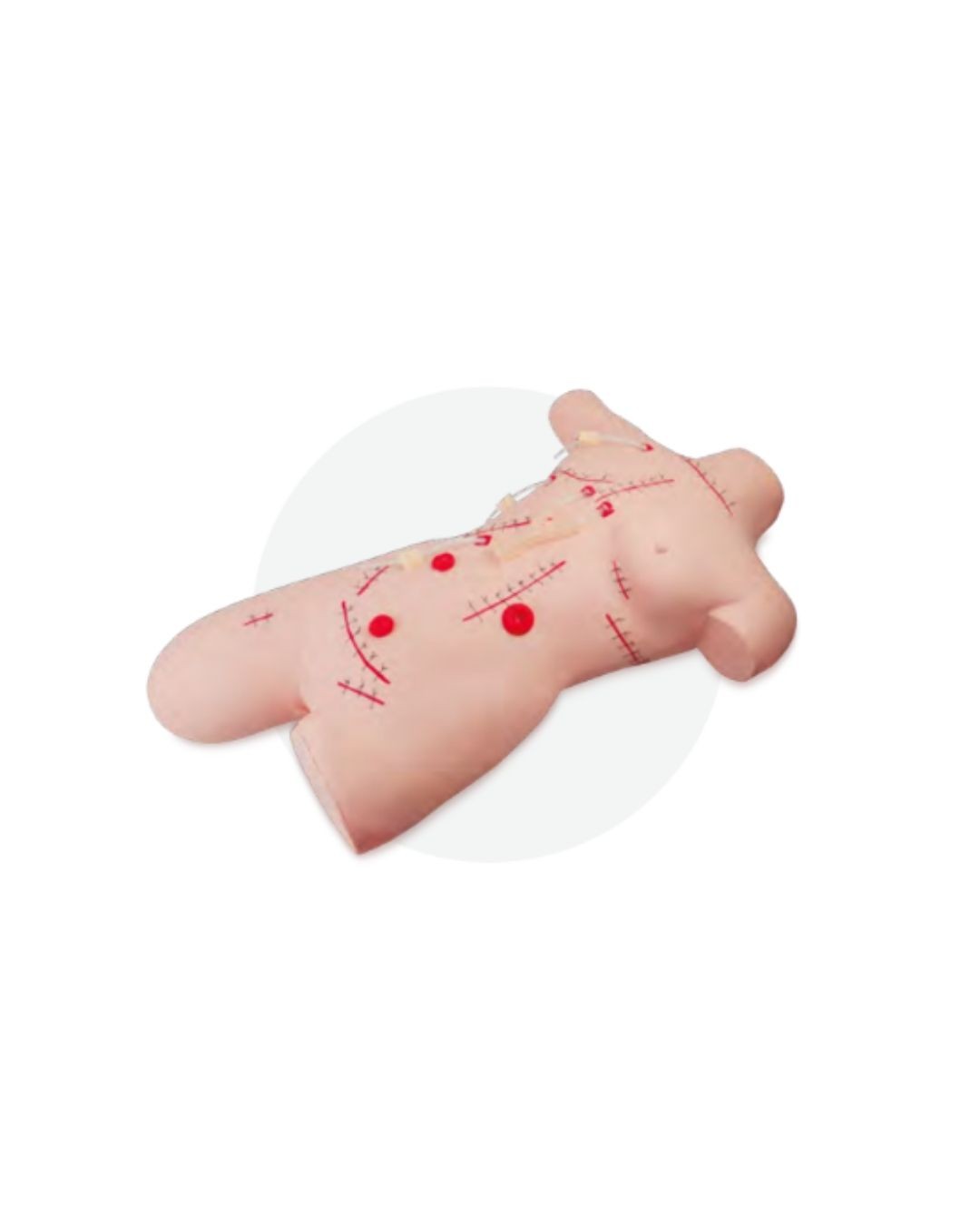 Surgical Suturing and Bandaging Model