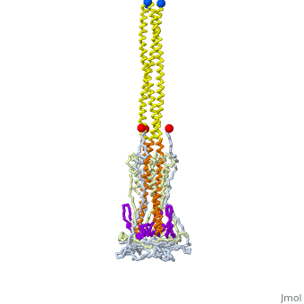 A spinning gif of an unfolded COVID spike protien 