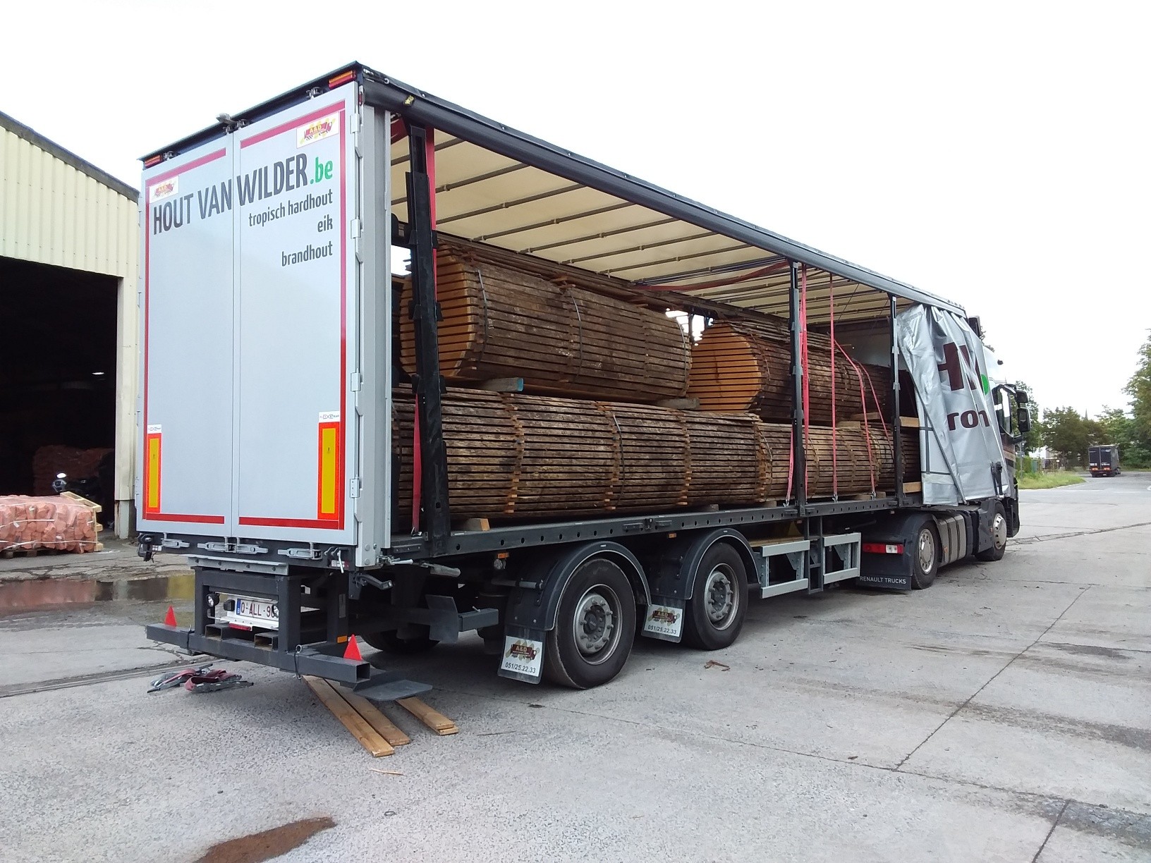 boomstammen van tropisch hardhout